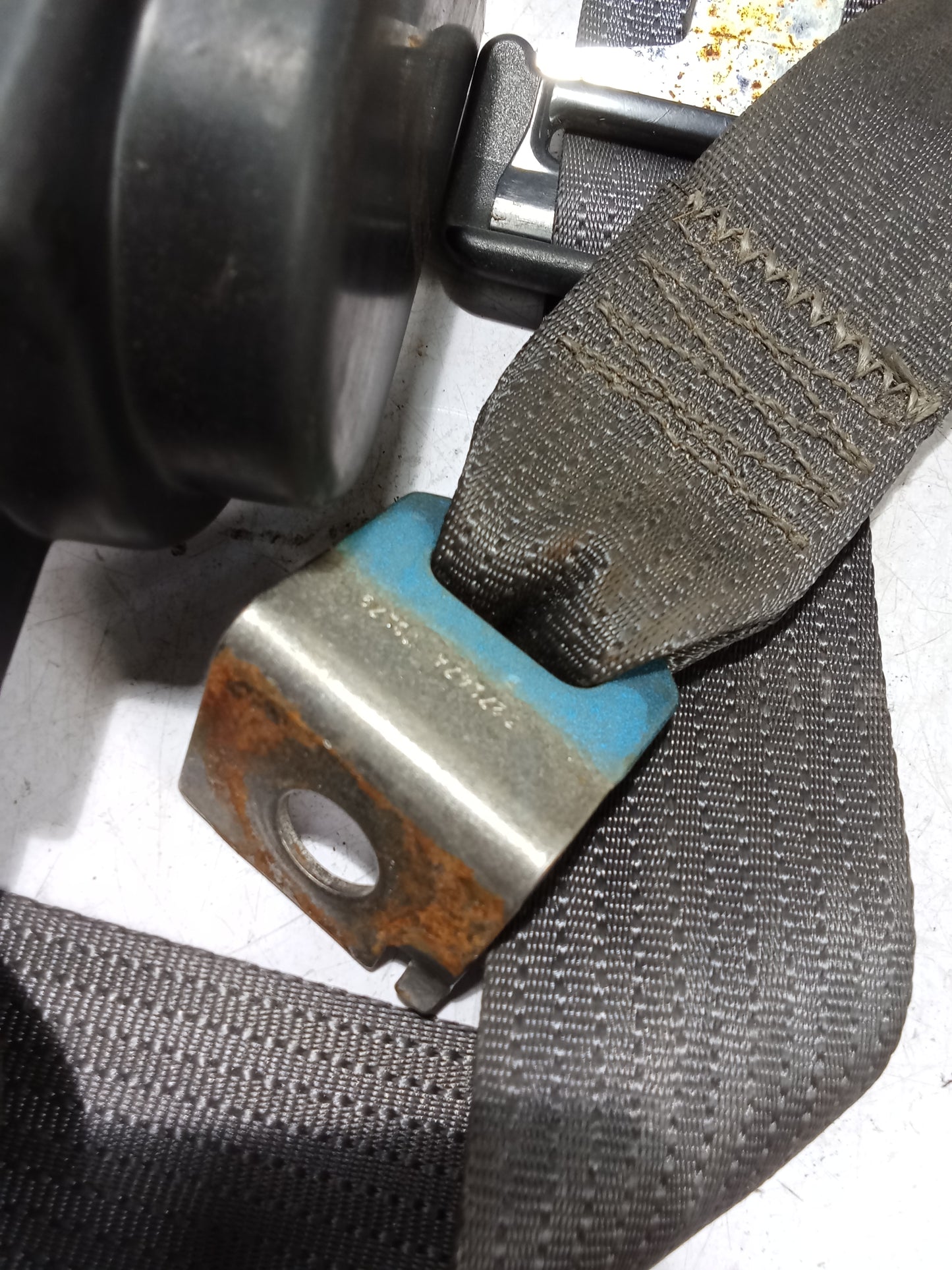 Seat Belt R/P/S | Ford Sportrac