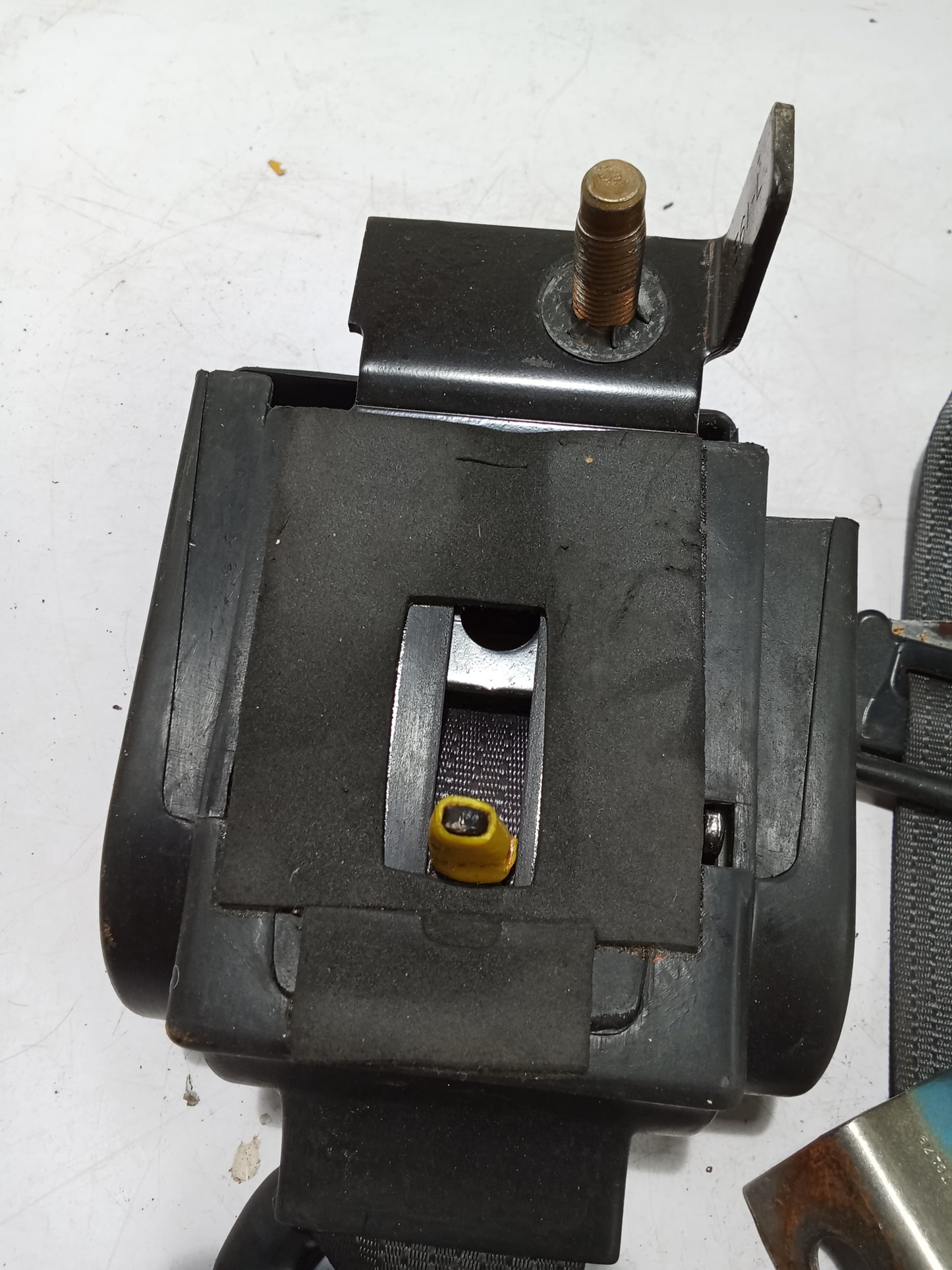 Seat Belt R/P/S | Ford Sportrac