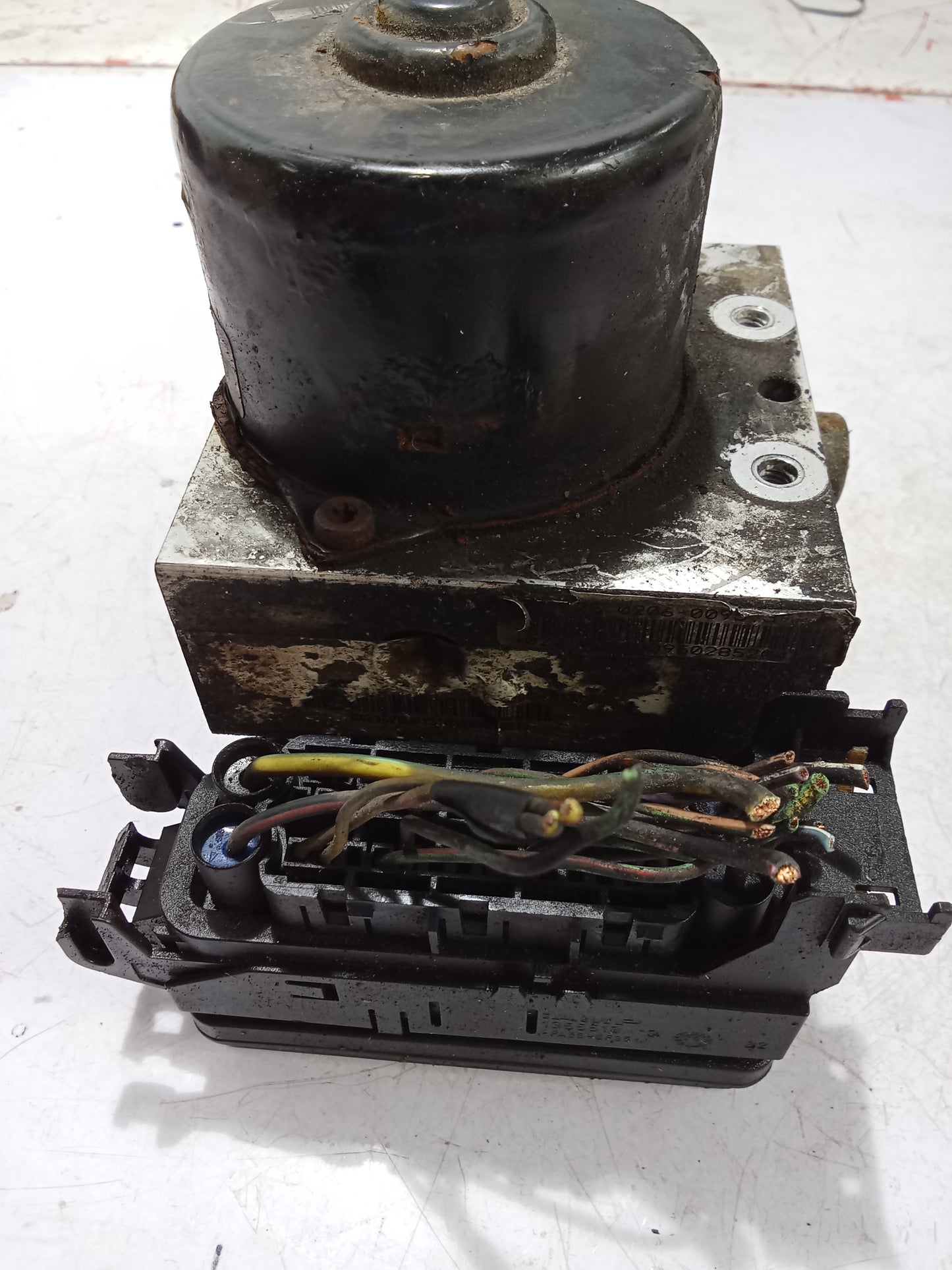 Seat Belt P/S | Ford Focus