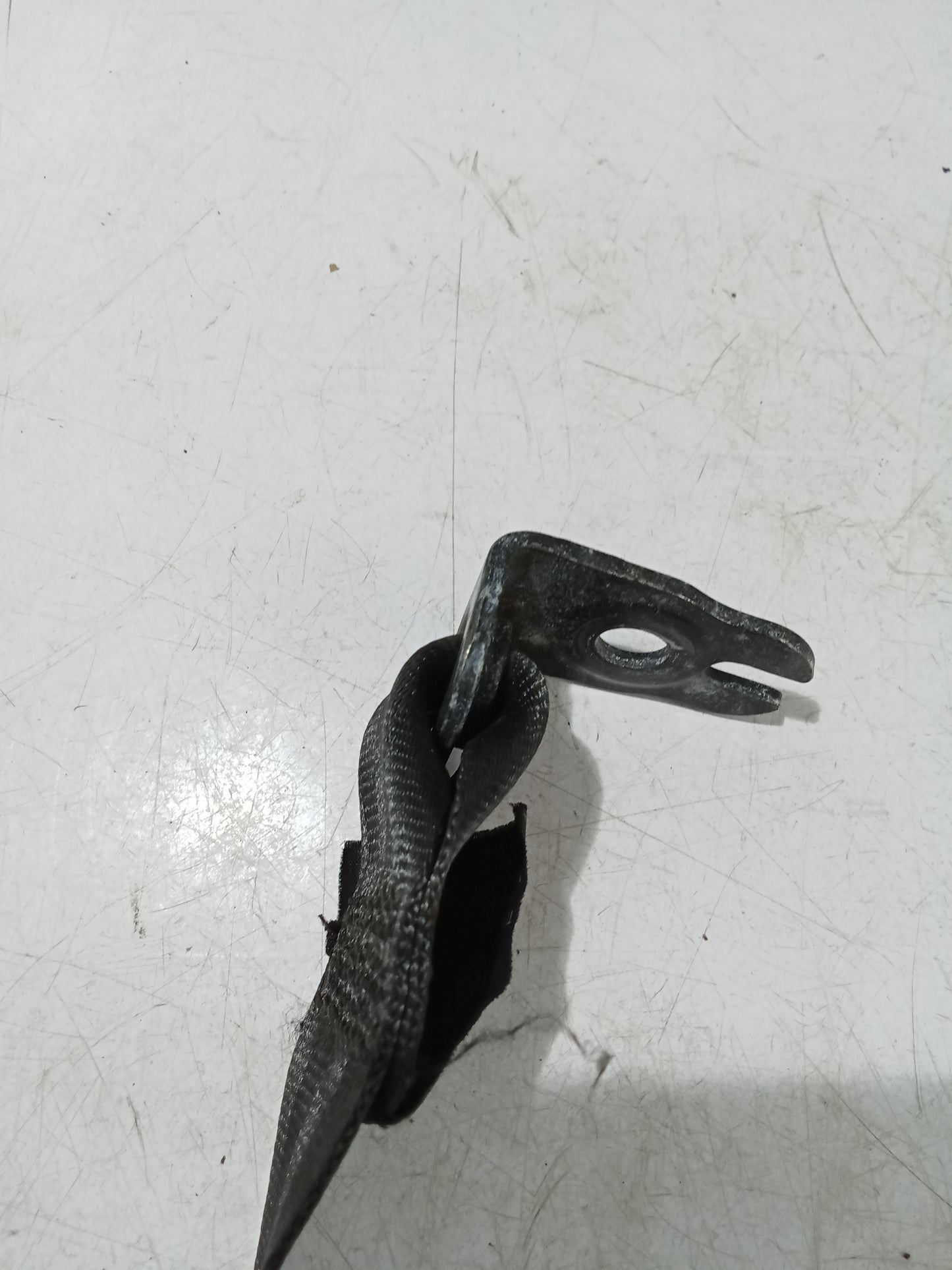 Seat Belt P/S | Ford Focus
