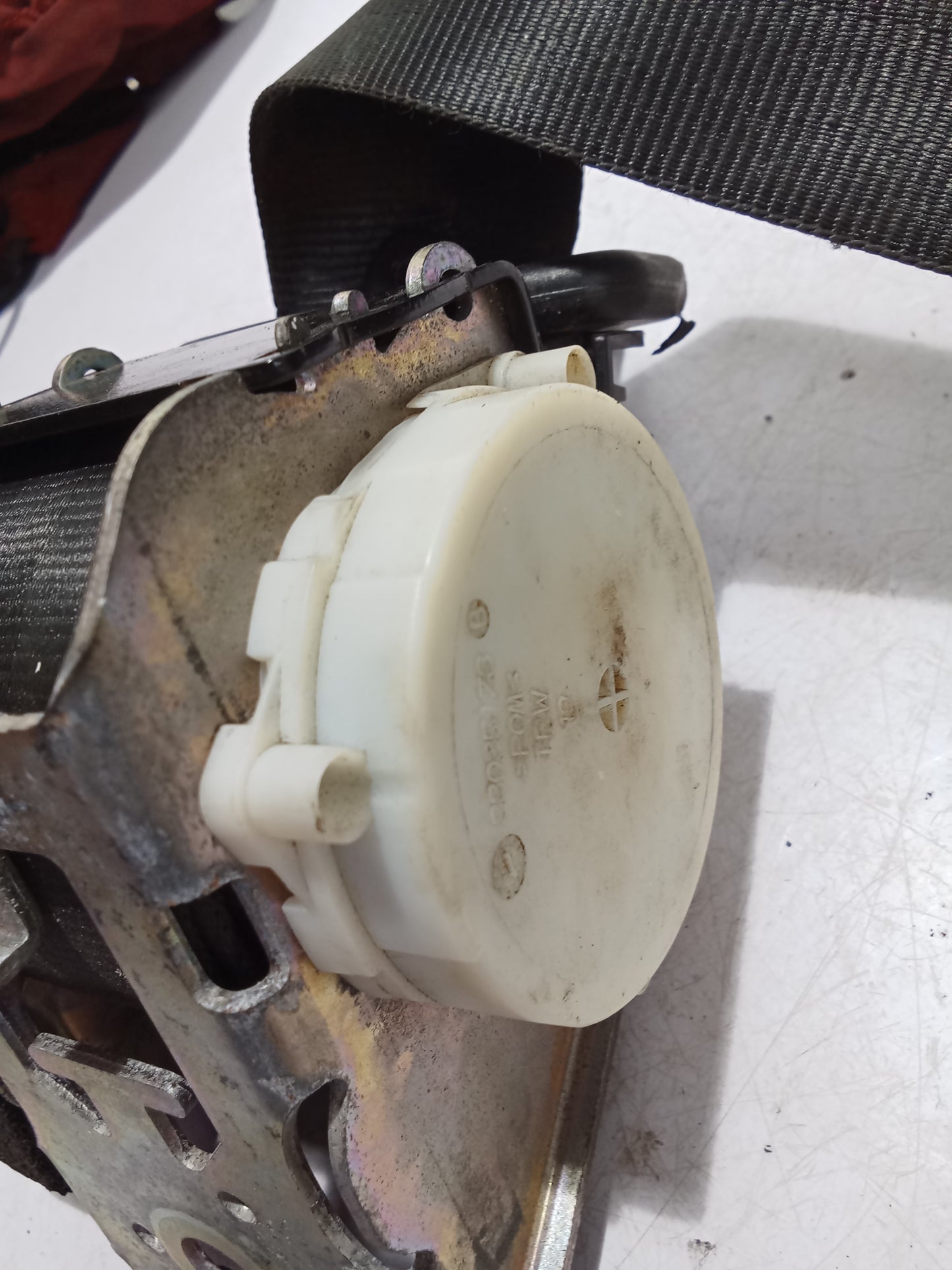 Seat Belt P/S | Ford Focus