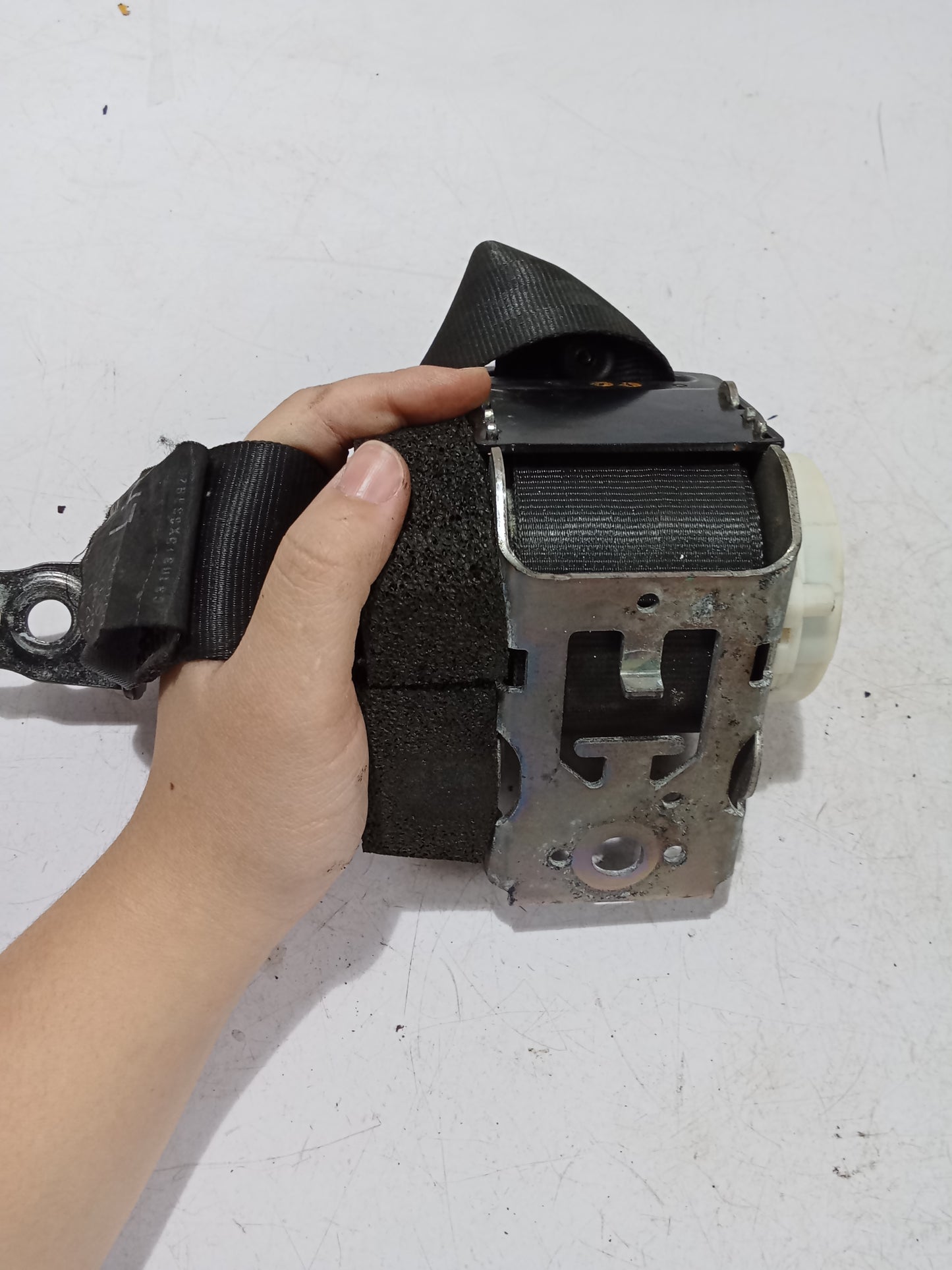 Seat Belt P/S | Ford Focus