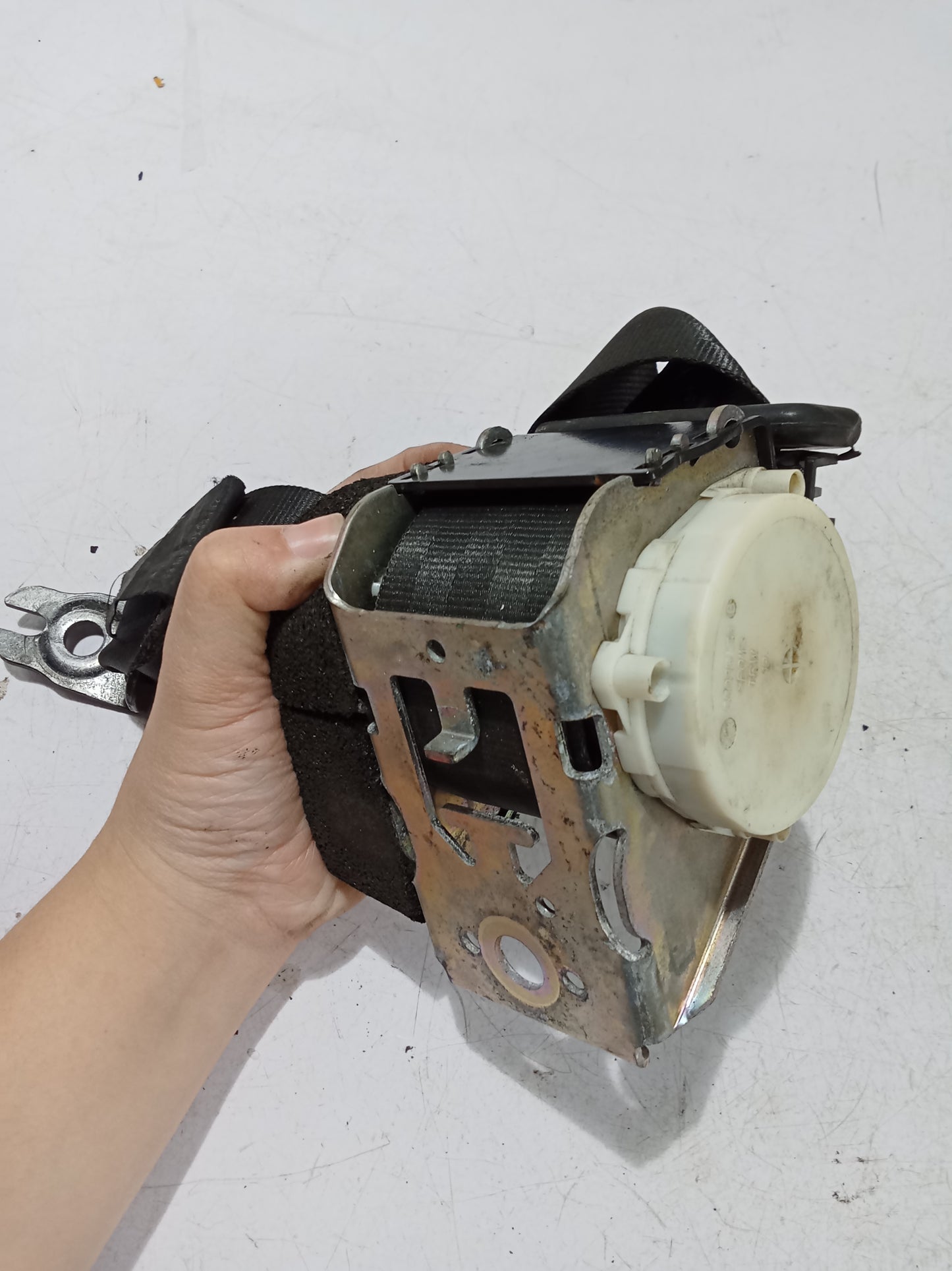 Seat Belt P/S | Ford Focus