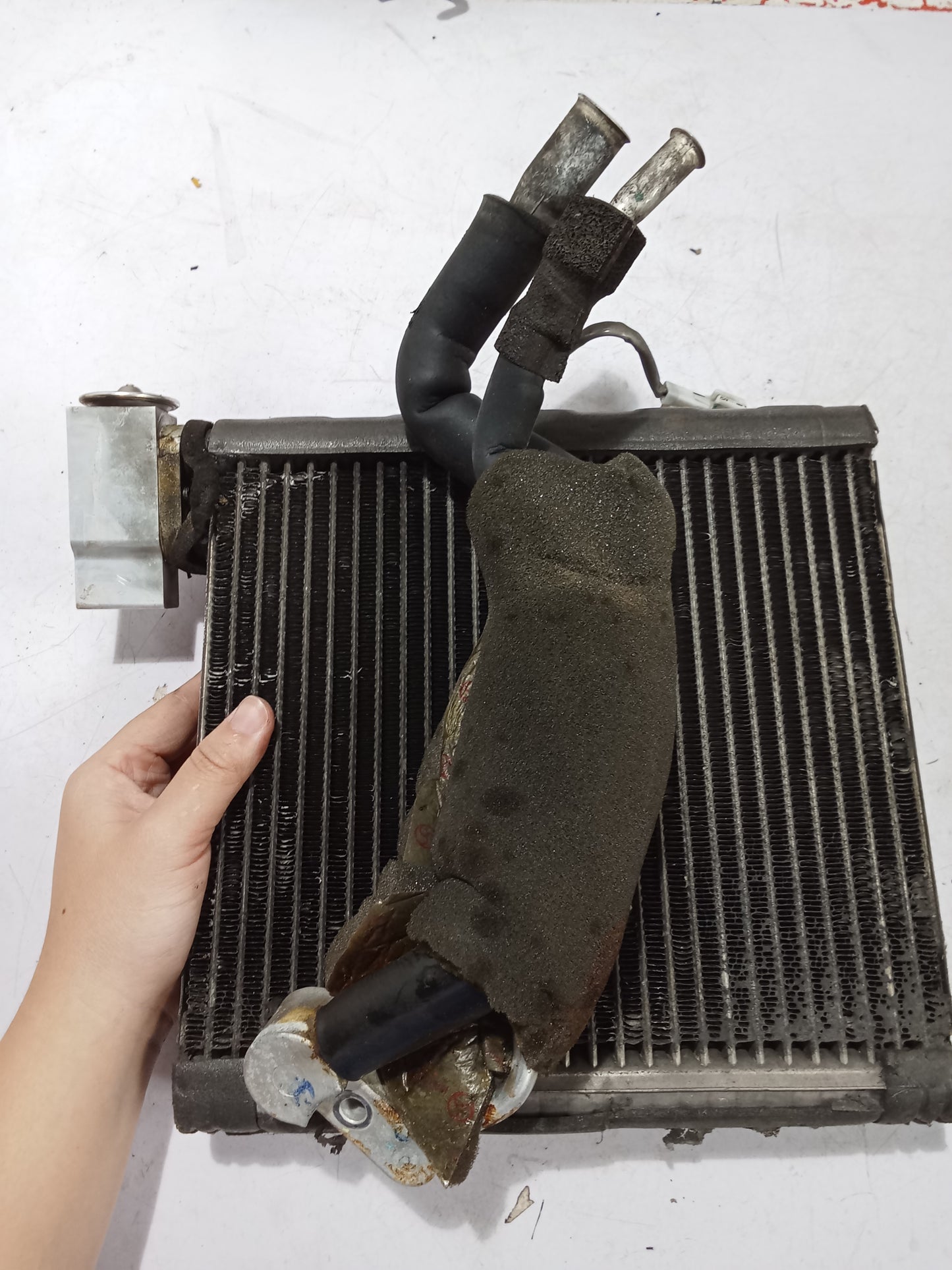 Evaporator | Ford Fiesta 1.5