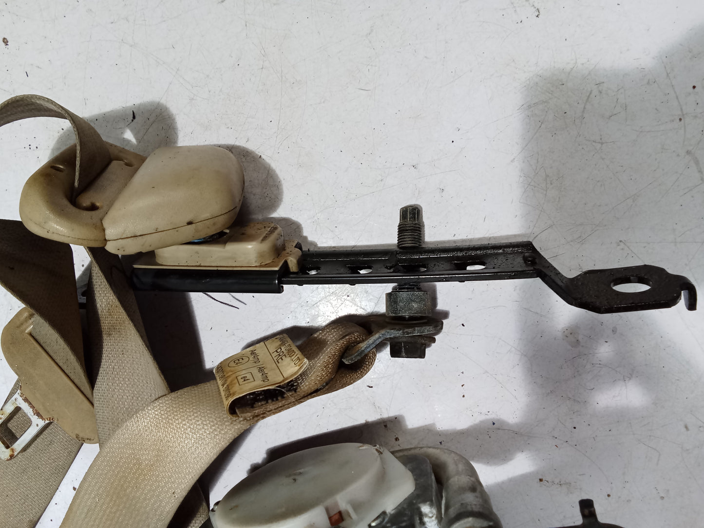 Seatbelt P/S | Nissan Navara