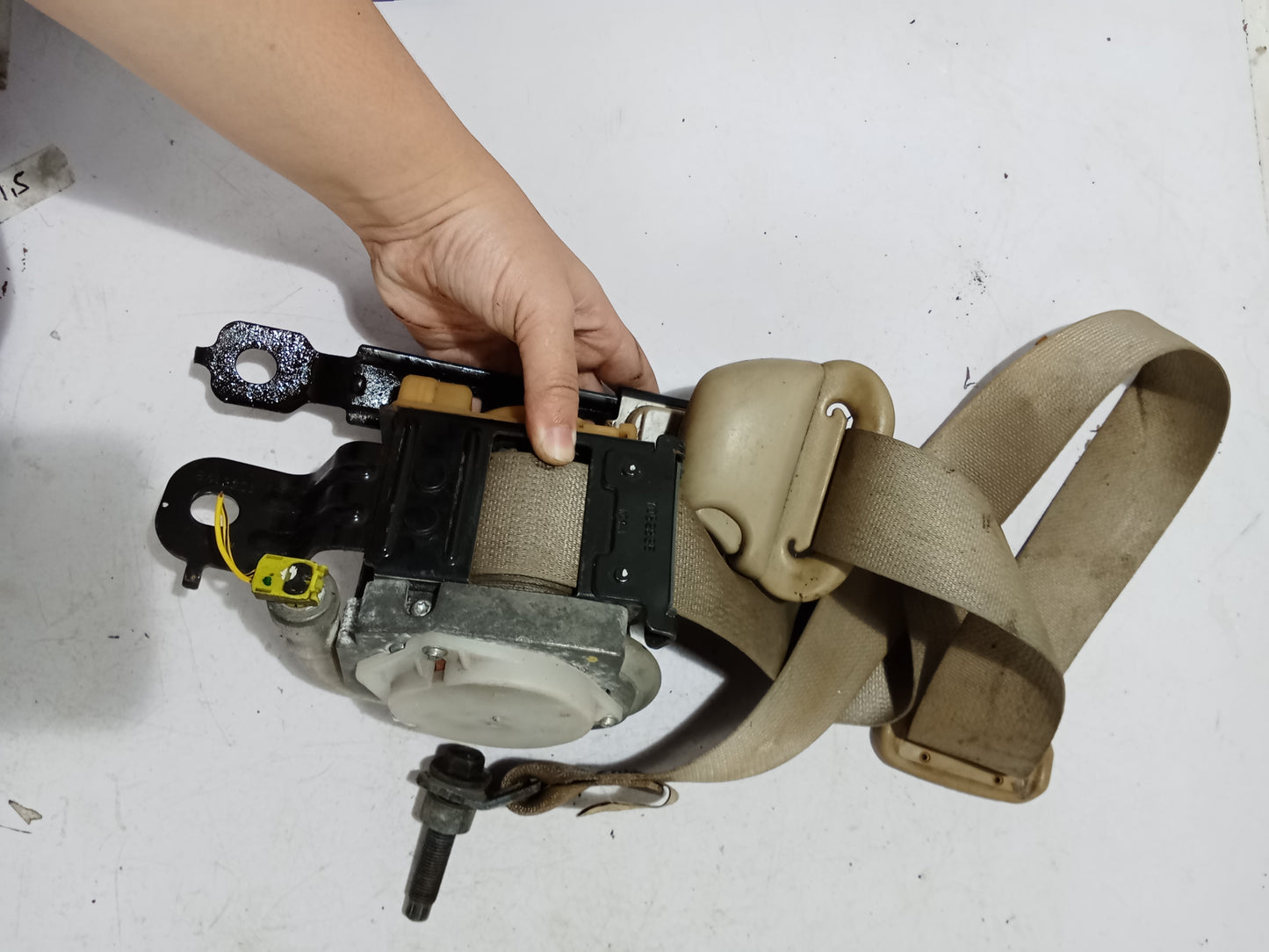 Seatbelt P/S | Nissan Navara