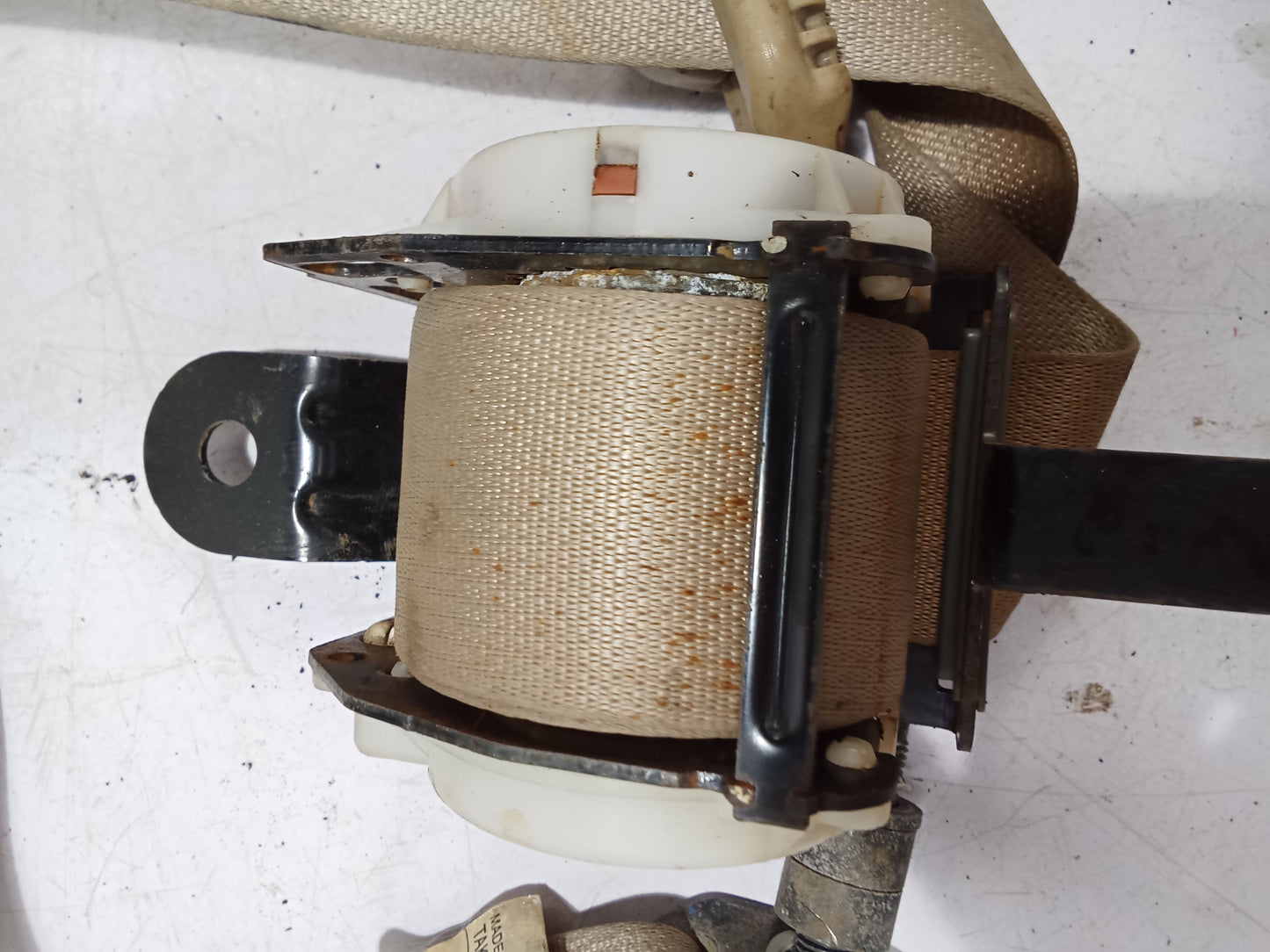 Seat Belt R/P/S | Nissan Navara