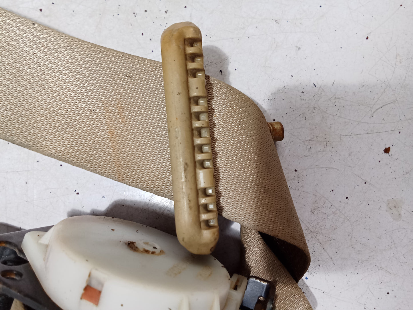 Seat Belt R/D/S | Nissan Navara