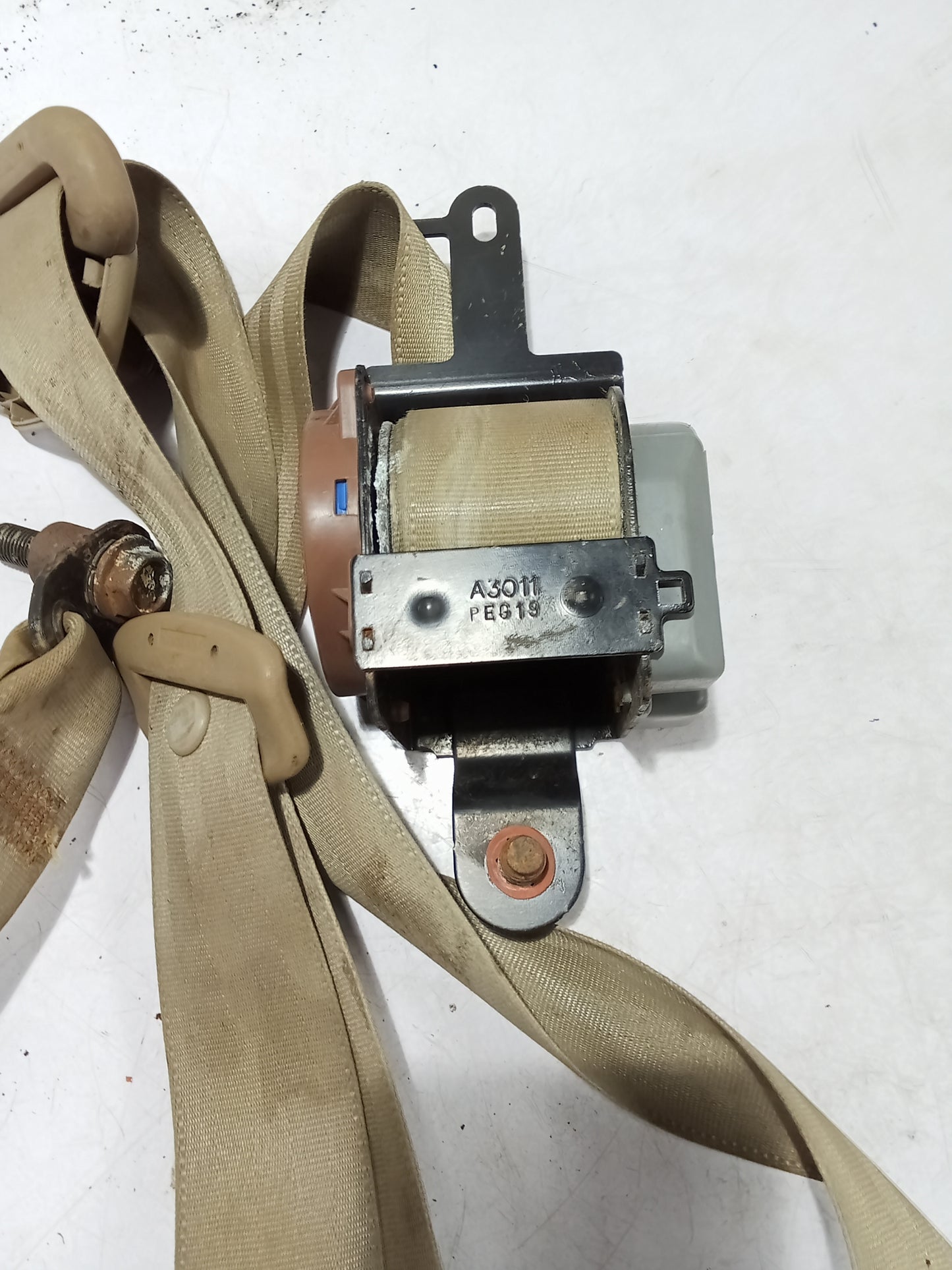 Seatbelt P/S | Chevrolet Optra