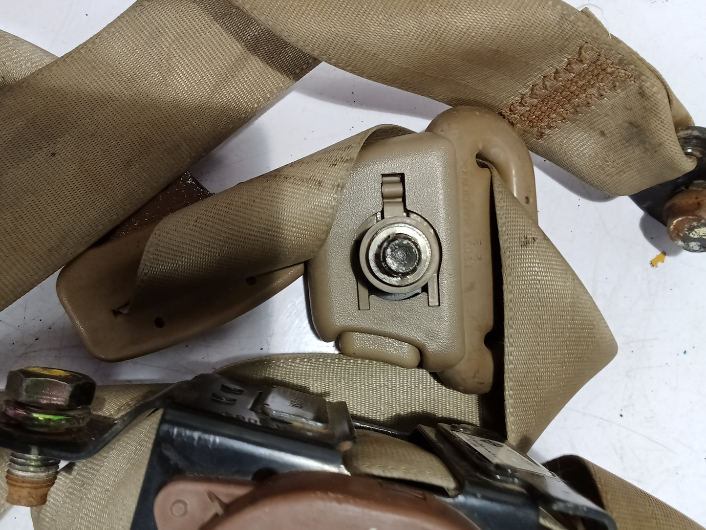 Seatbelt P/S | Chevrolet Optra