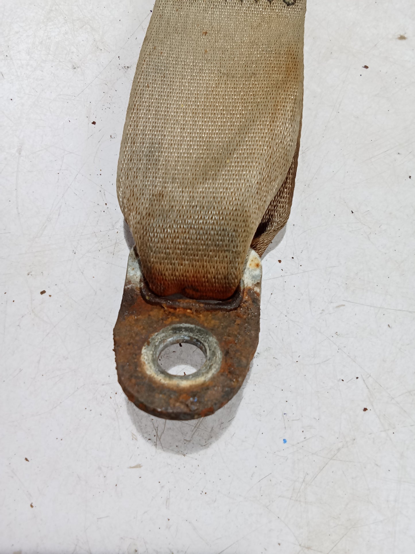 Seatbelt Catcher | Nissan Navara