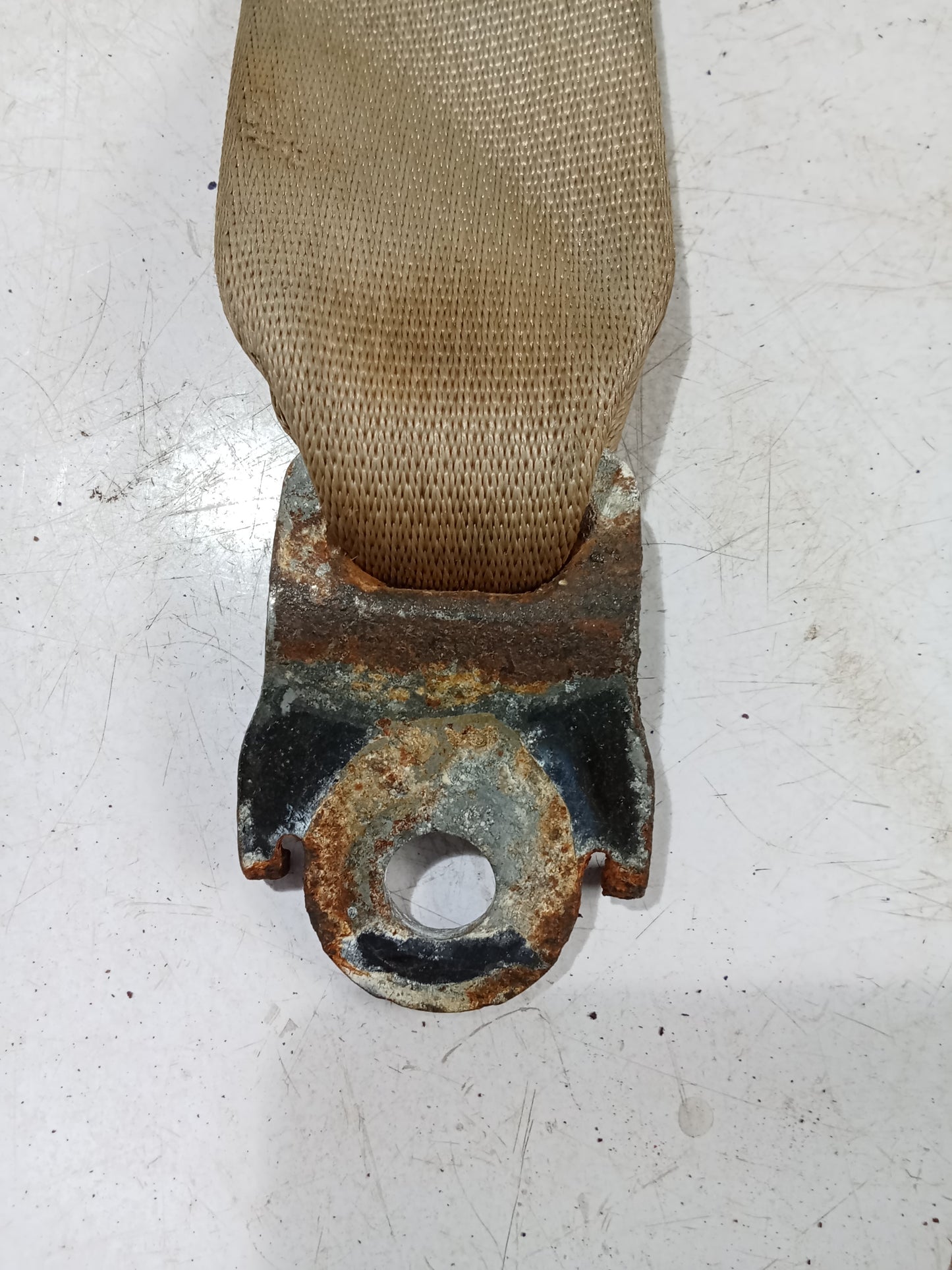 Seatbelt Catcher Center| Nissan Navara