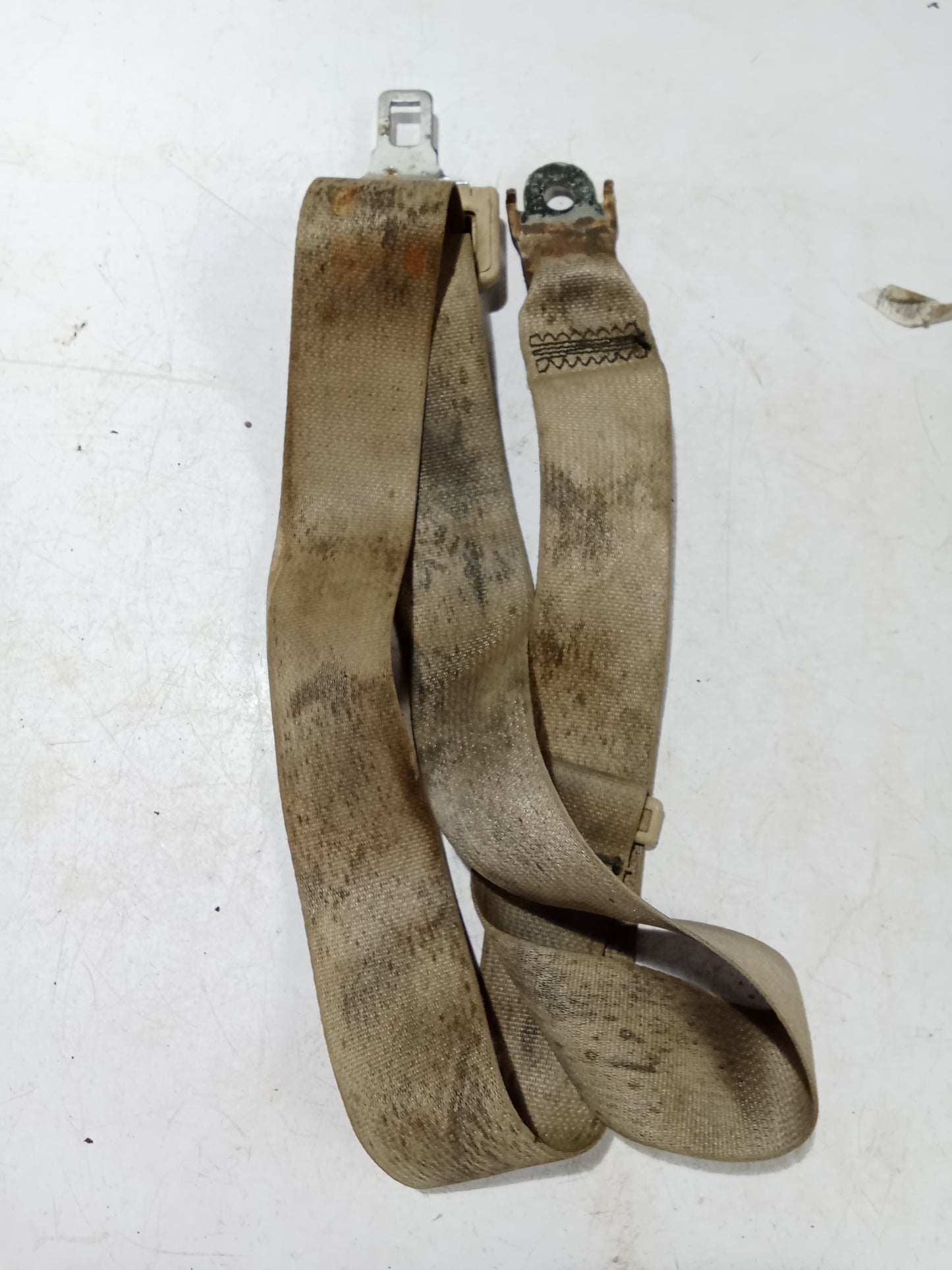 Seatbelt Center | Nissan Navara