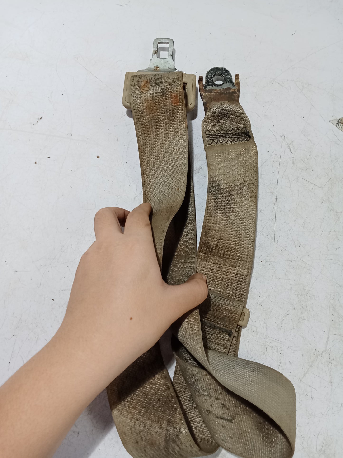 Seatbelt Center | Nissan Navara