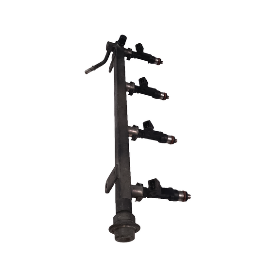 Fuel Rail Assembly | Chevrolet Captiva Gas