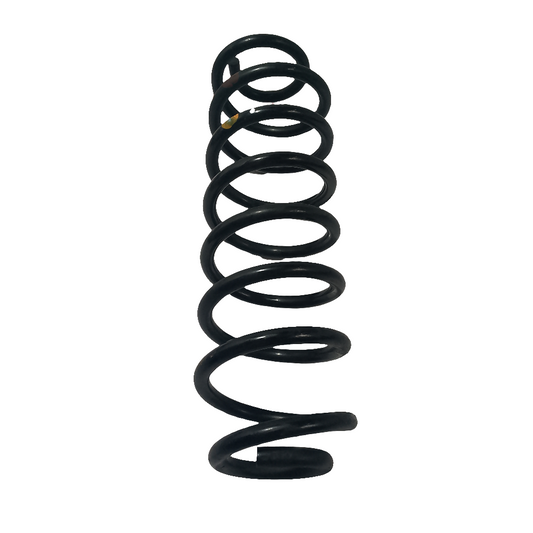 Coil Spring Rear Driver Side | Ecosport