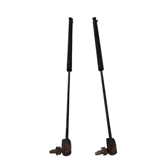 Tail Gate Lifter Left And Right | Expedition