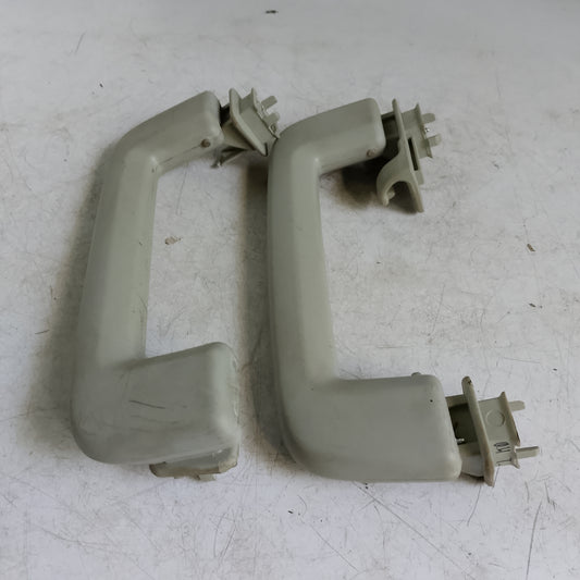 Interior Grab Handle | Ecosport