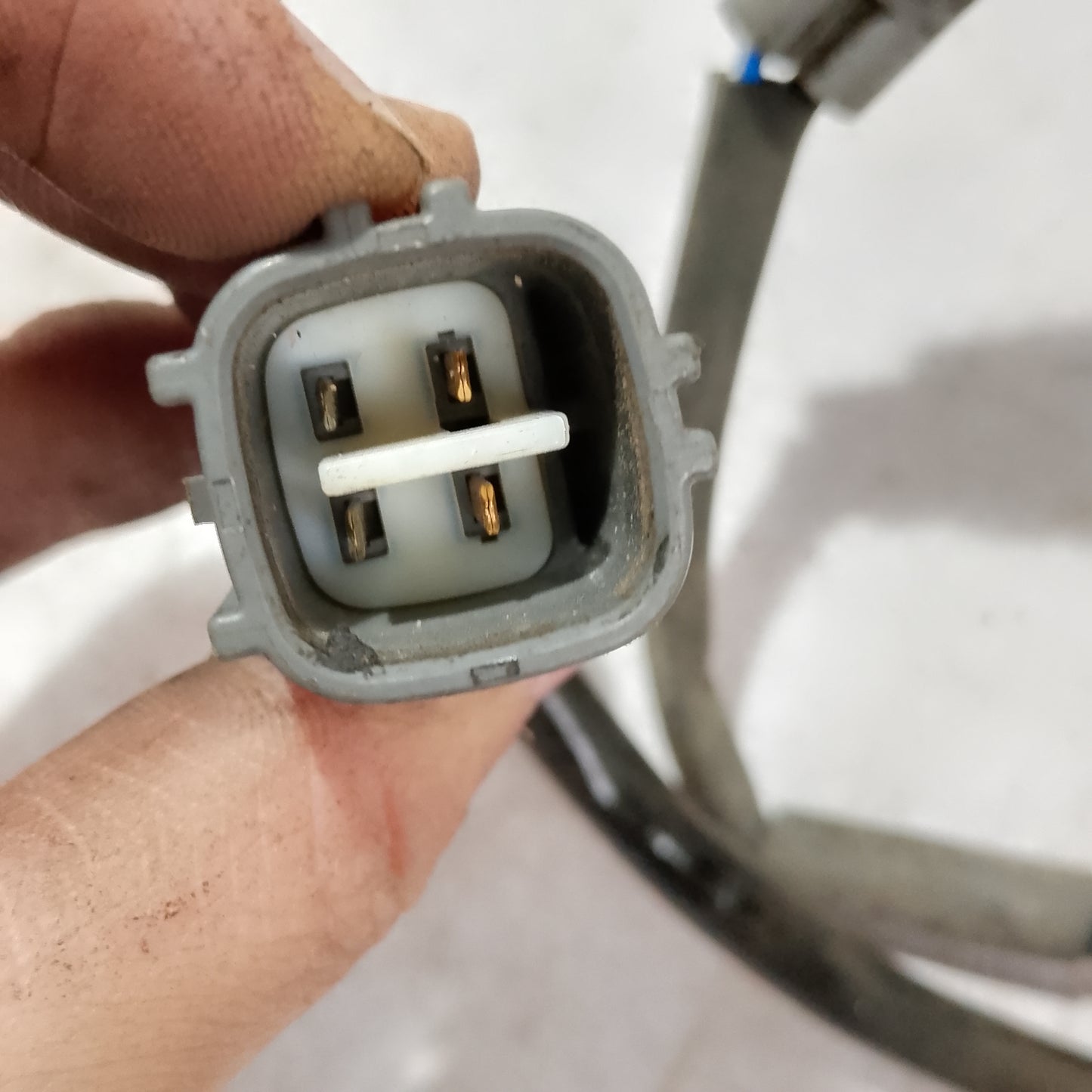 Oxygen Sensor Bank 1 & 2 | Vios Robin