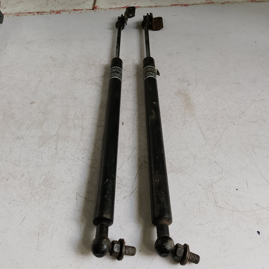 Tail Gate Damper | Forester