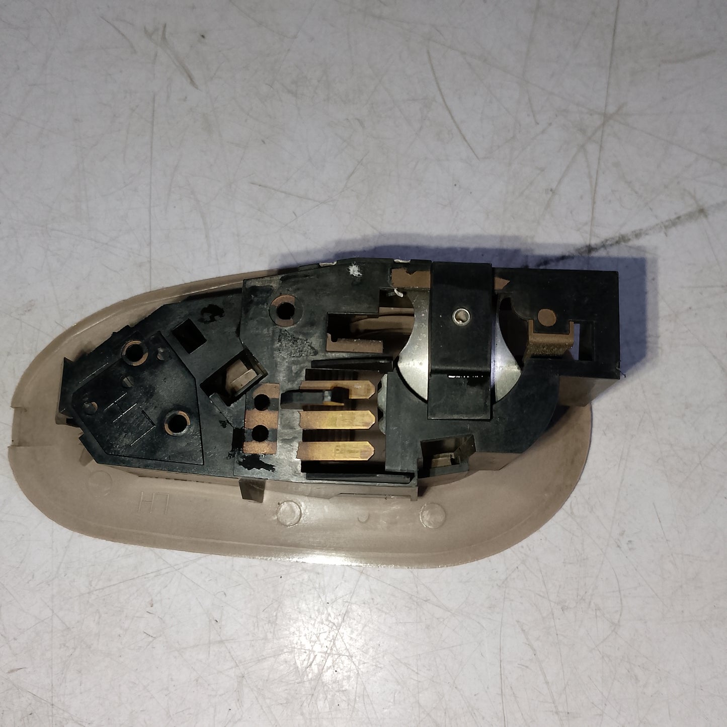 Ceiling Roof Dome Light | Expedition