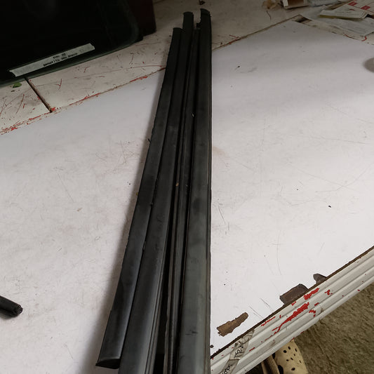 Weather Strip | Fiesta