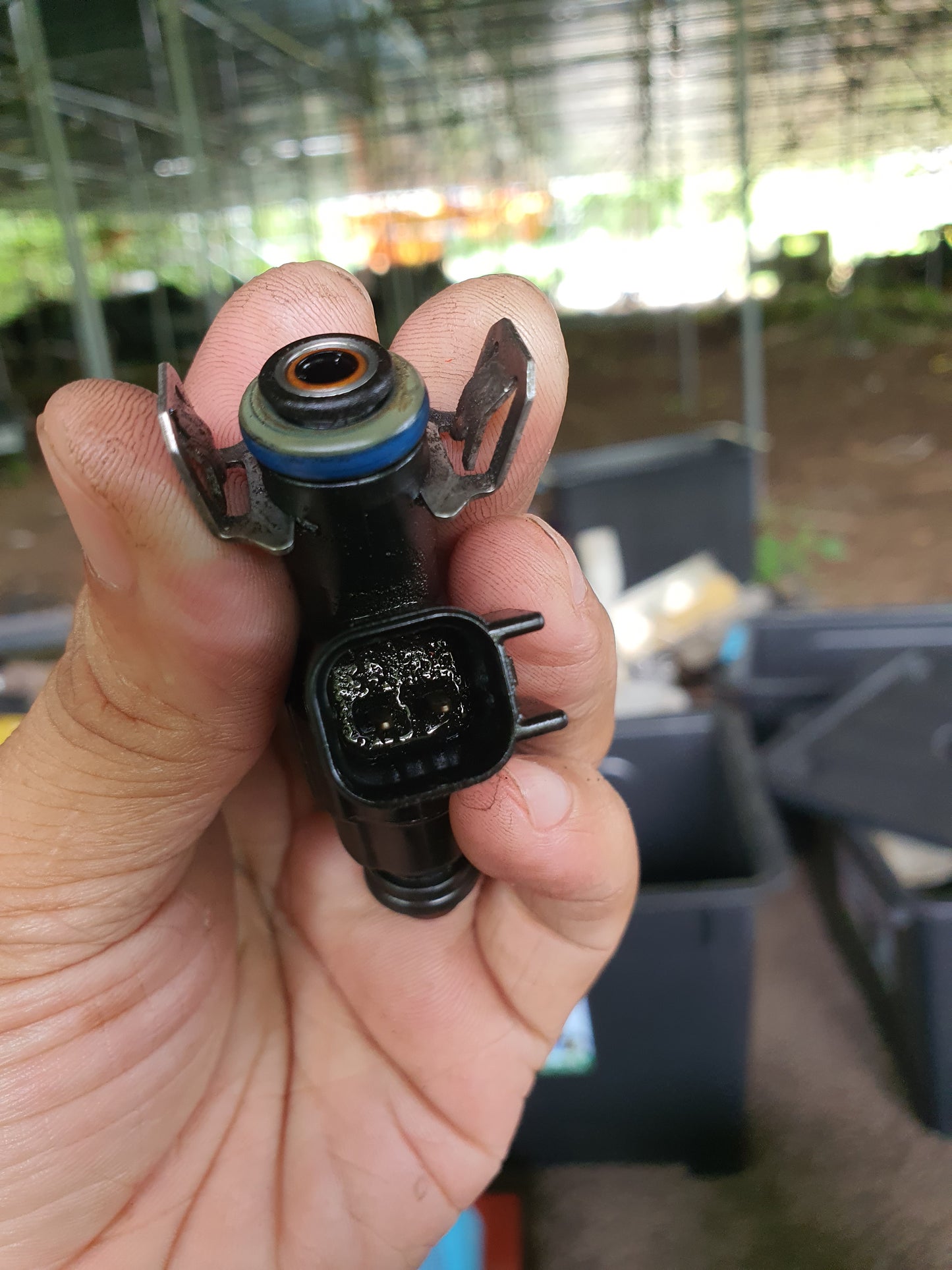 Ford Focus | 1.8 | 1pc Injector