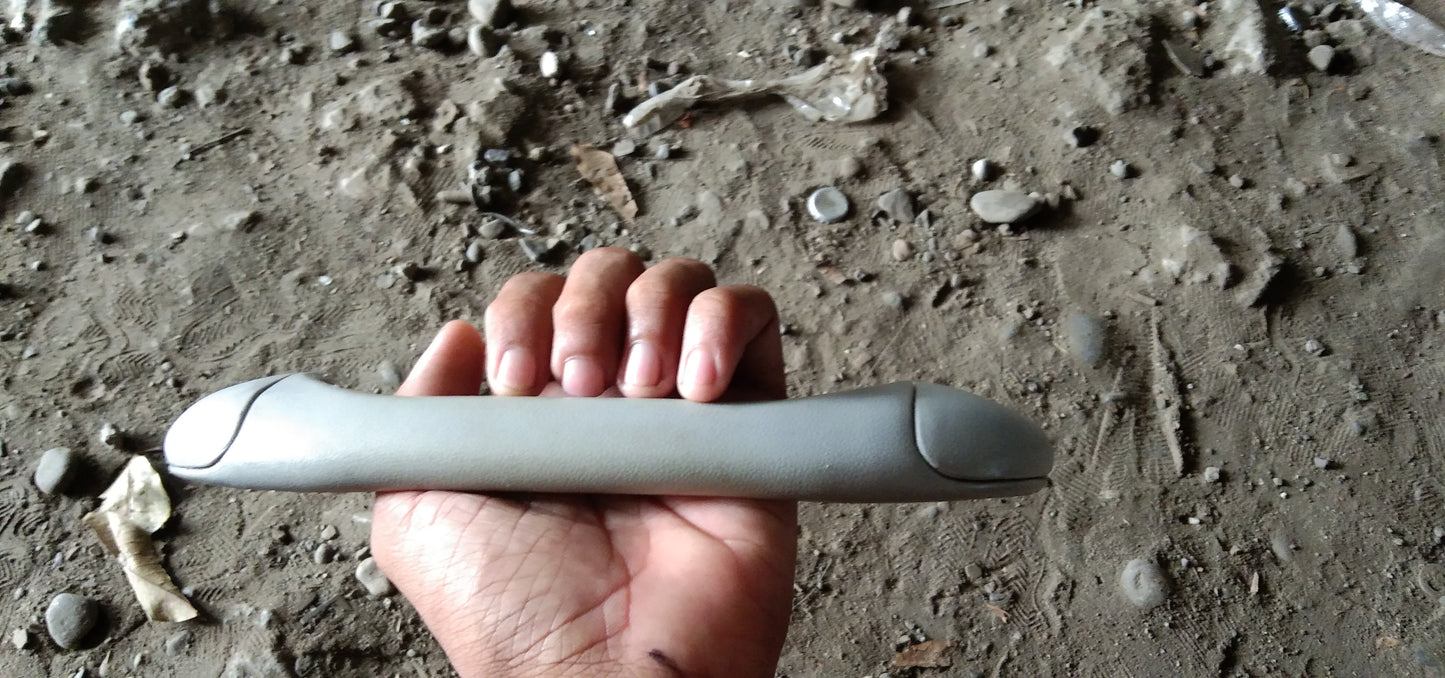 Ranger Cieling Handle Front Driver Side