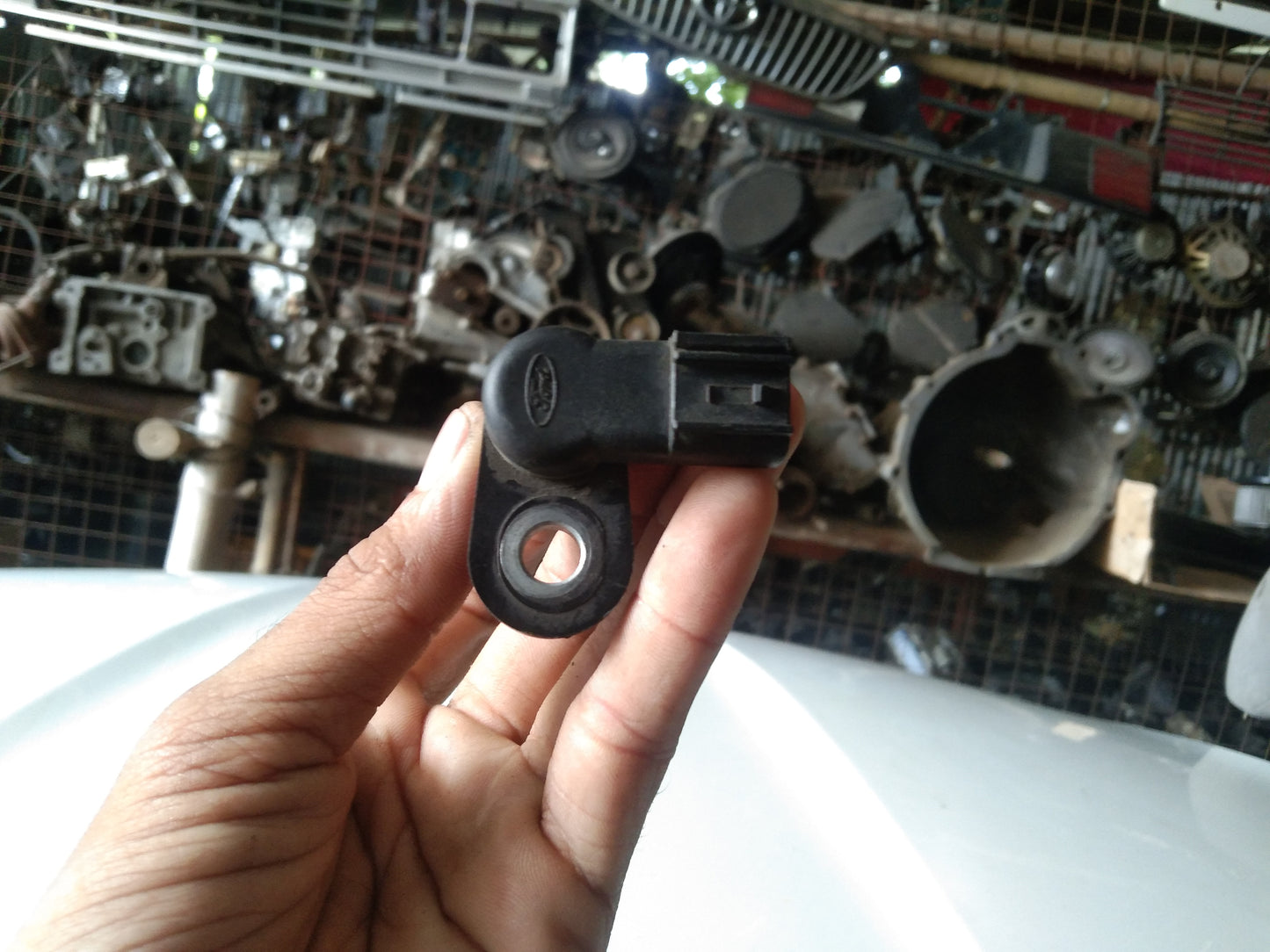 Ford Focus Crank Shaft
