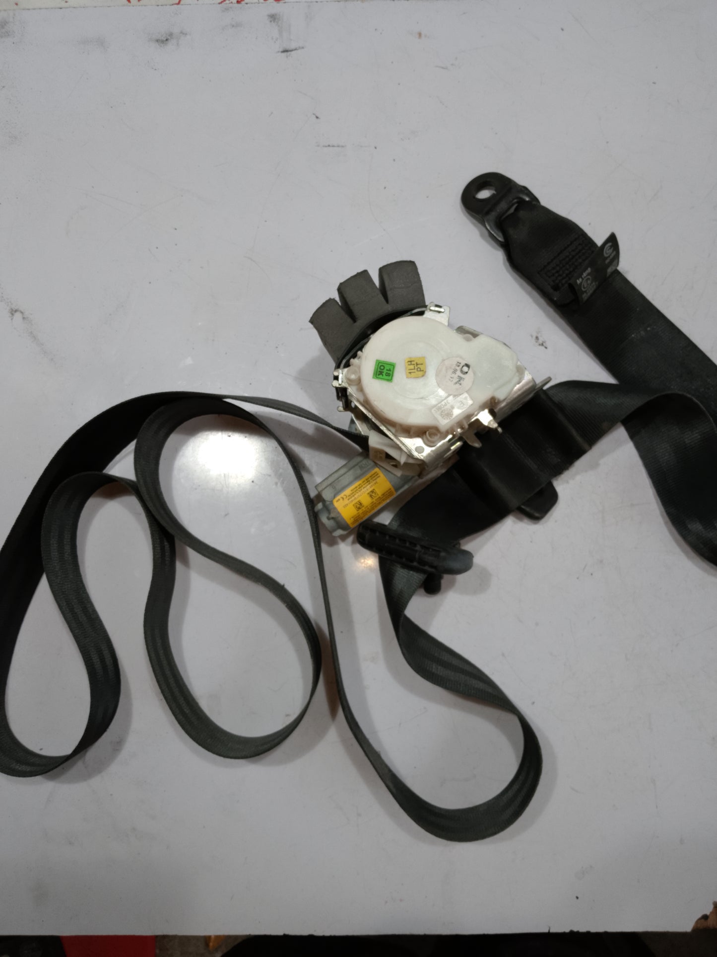 Seat Belt | Rear Driver Side | Ford Fiesta 1.5