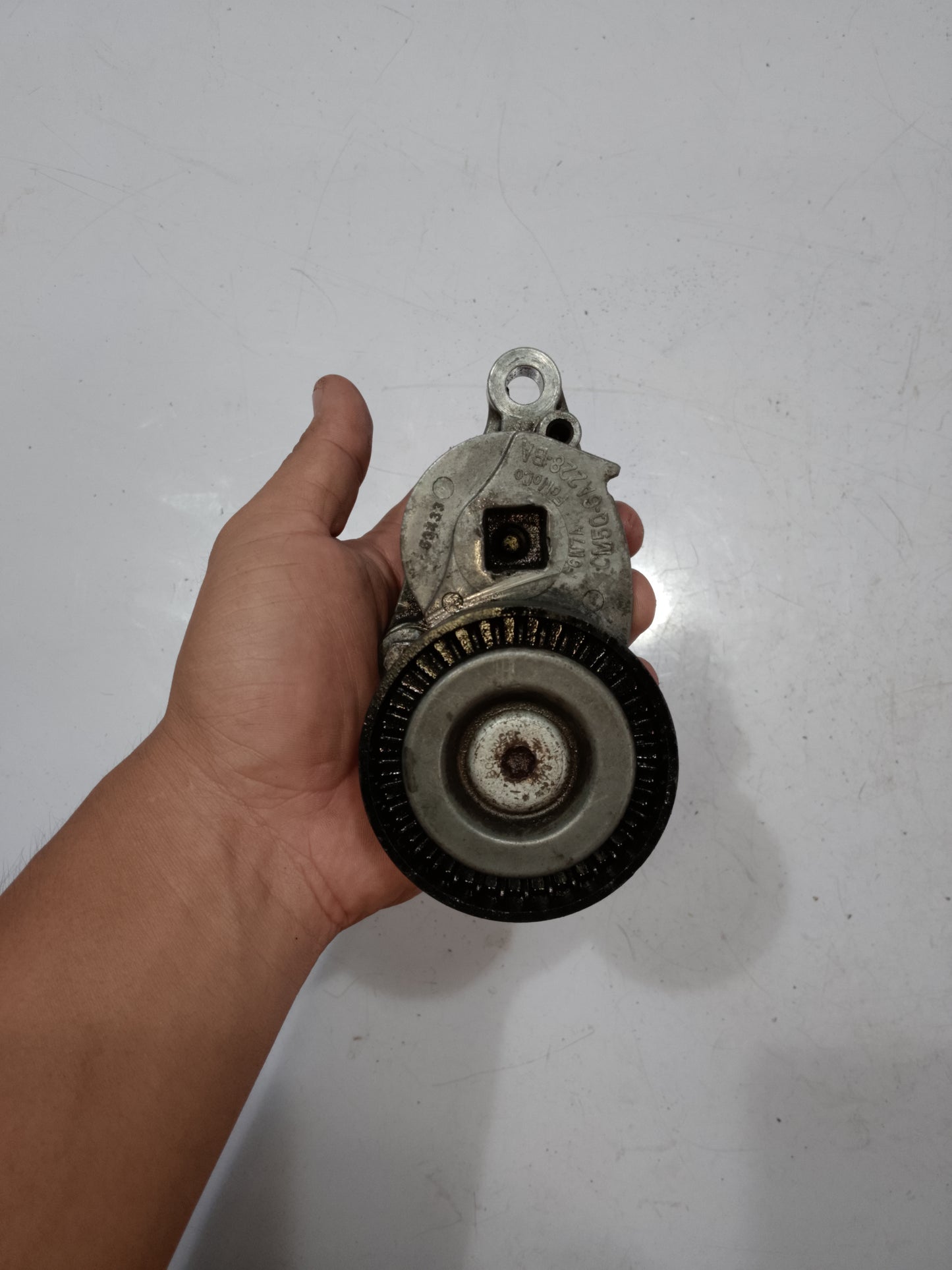 Belt Tensioner | Ford Ecosport