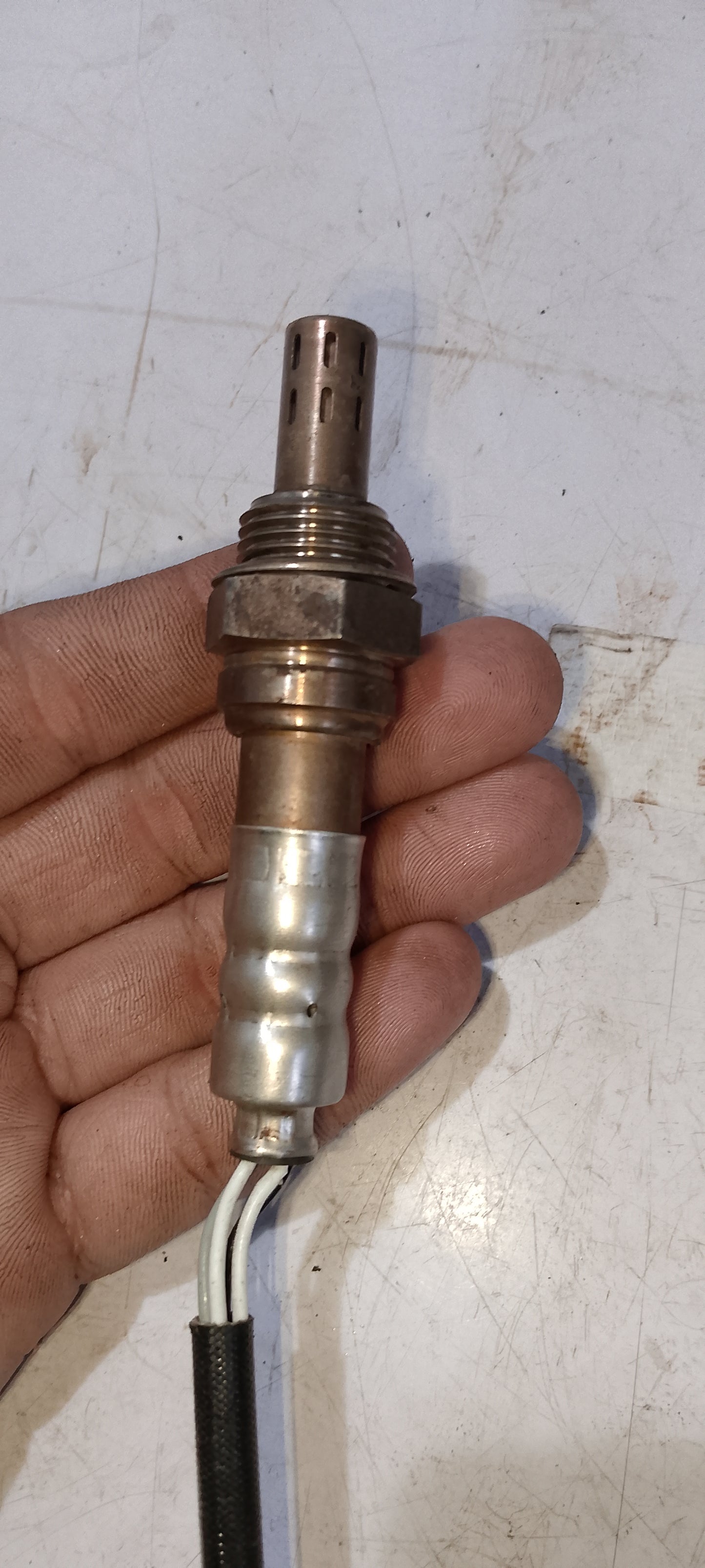 Oxgn sensor EcoSport