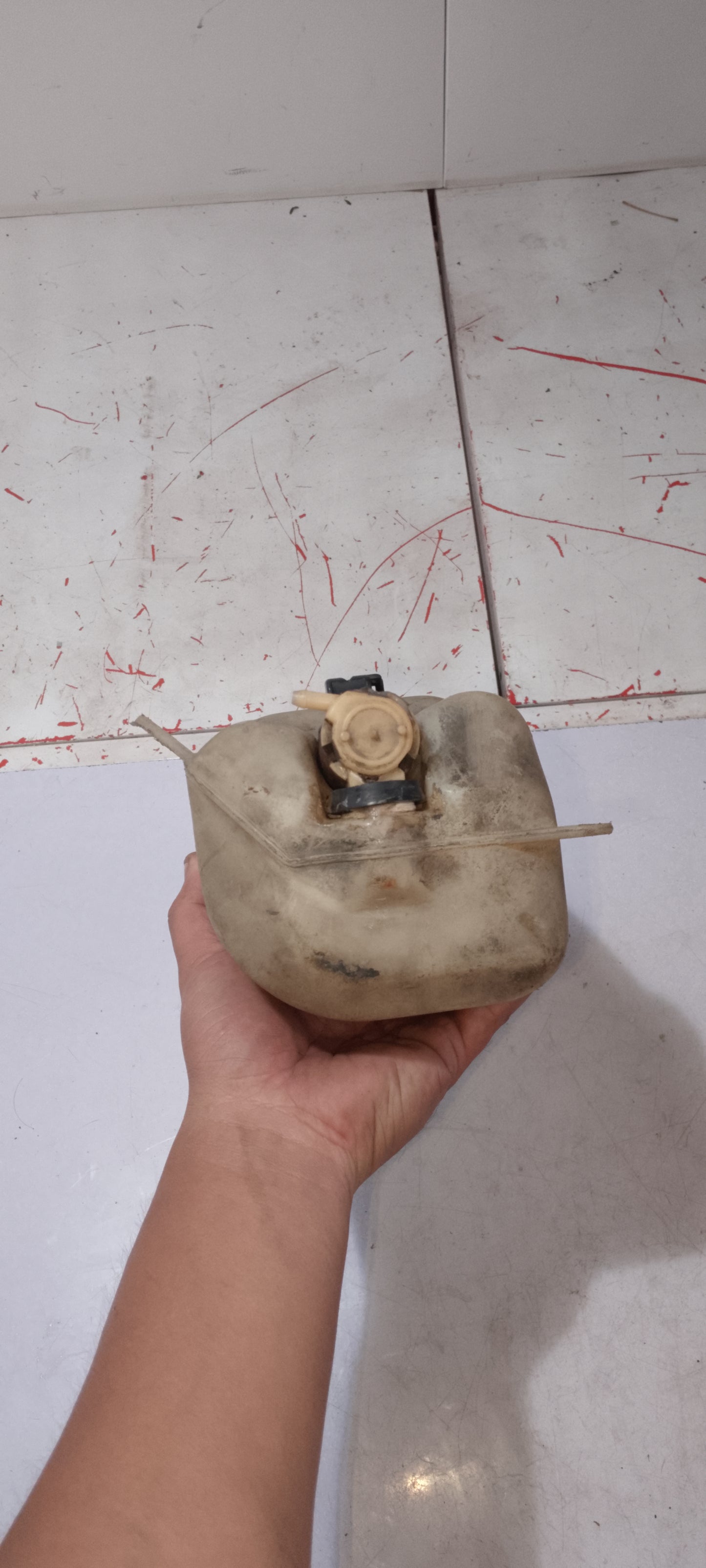 Washer Tank | Nissan Exsalta