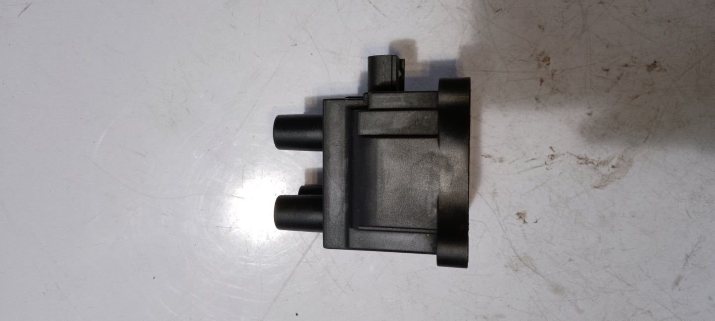 Coil pack | Ford Ecosport