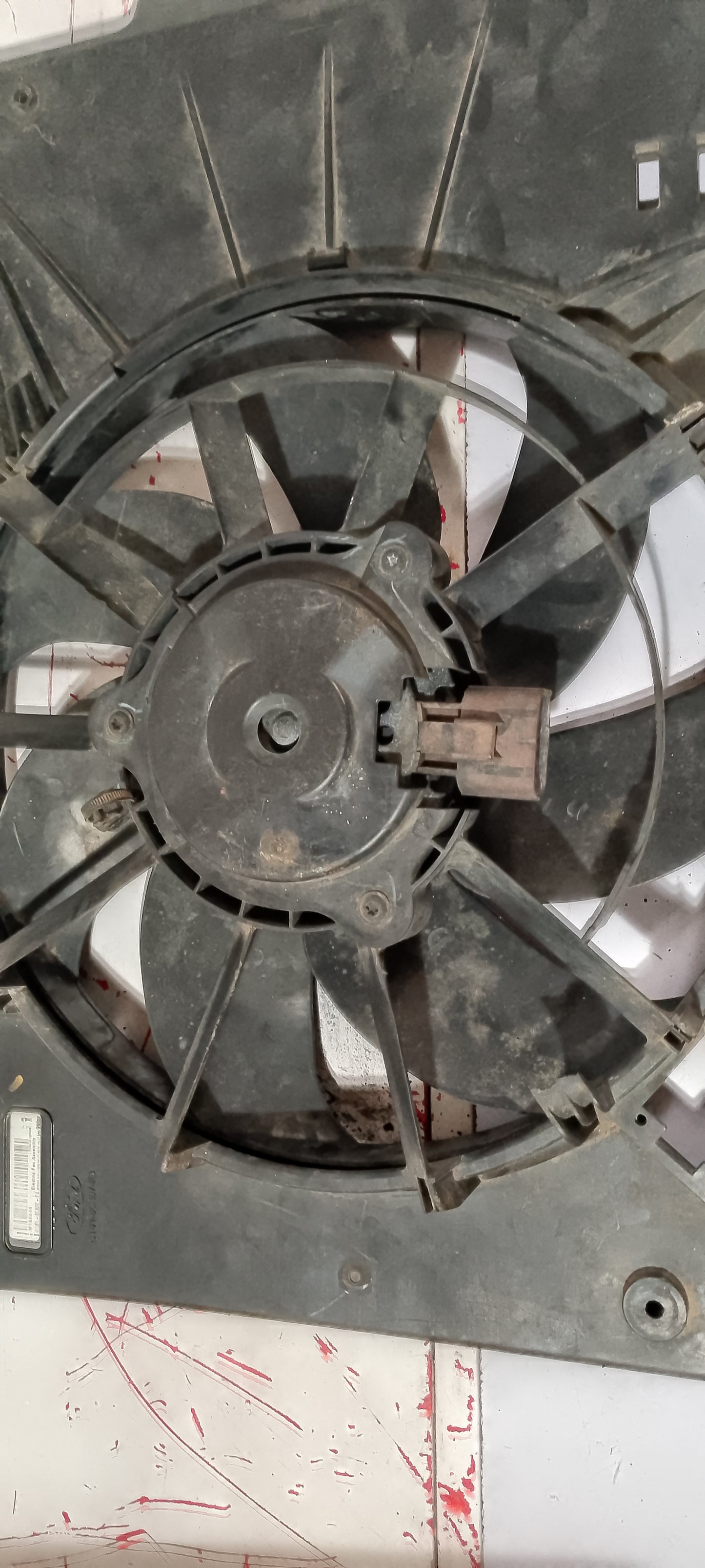 Radiator fan | Focus 2.0