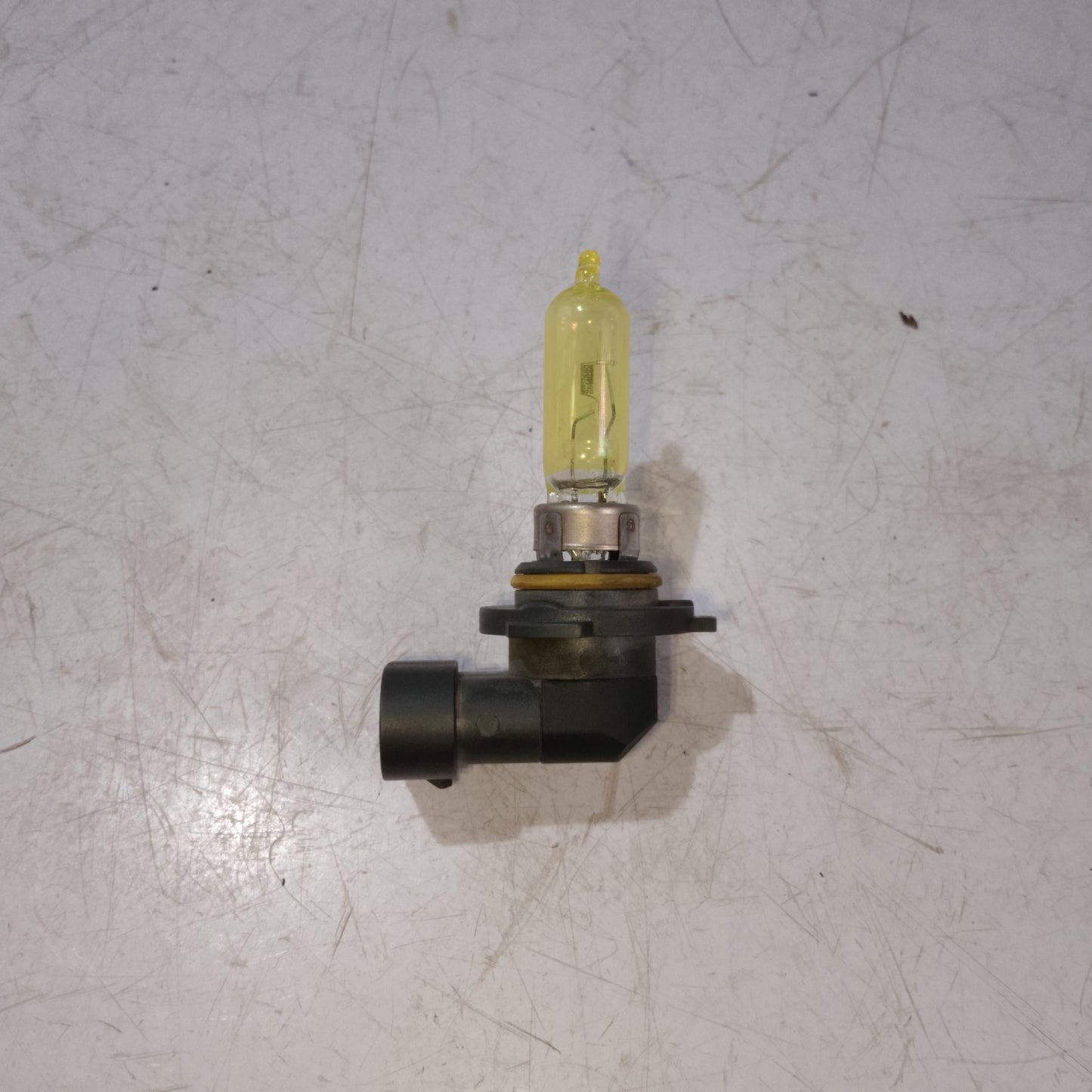 Tail Light Bulb | Expedition Gen 1