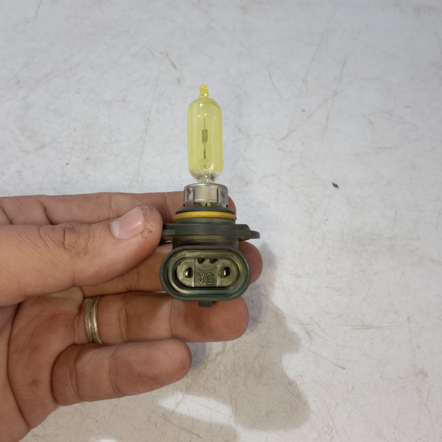 Tail Light Bulb | Expedition Gen 1