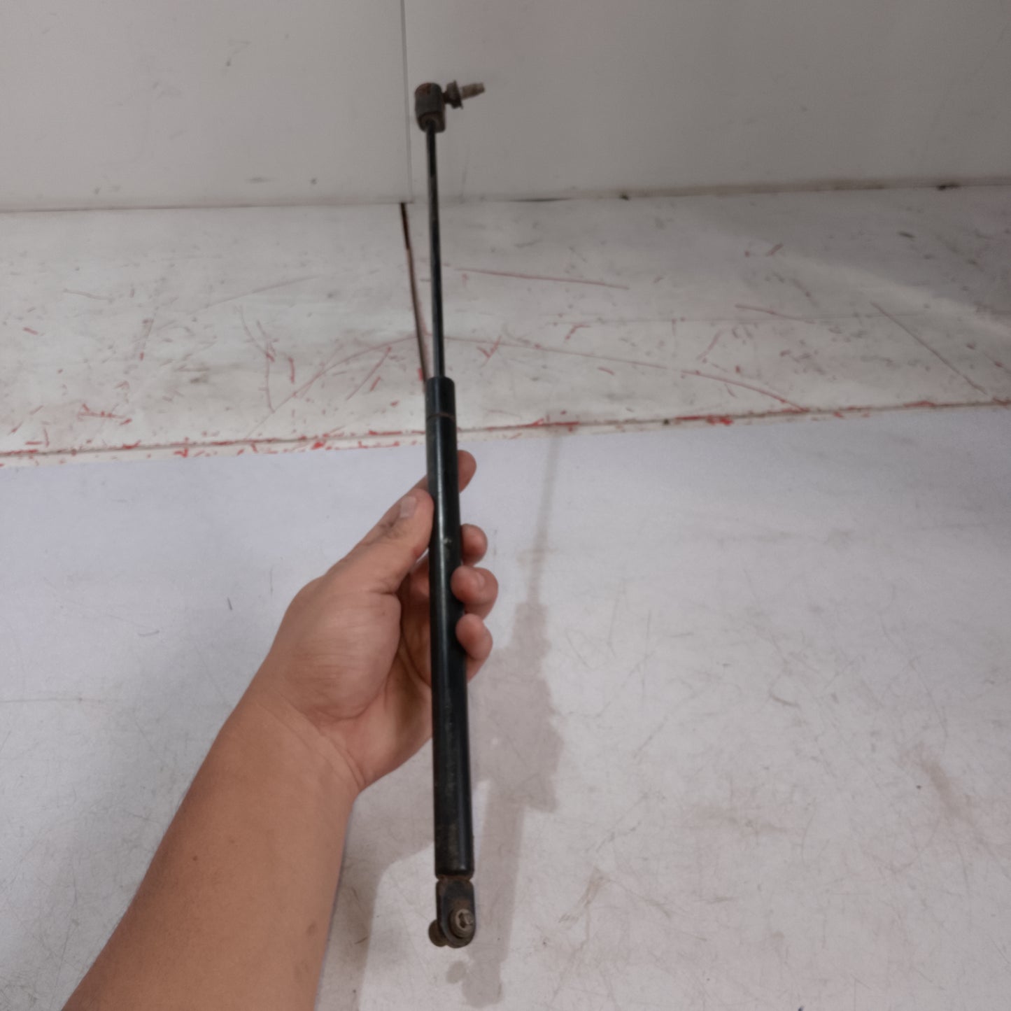 Tail Gate Lifter Left And Right | Expedition