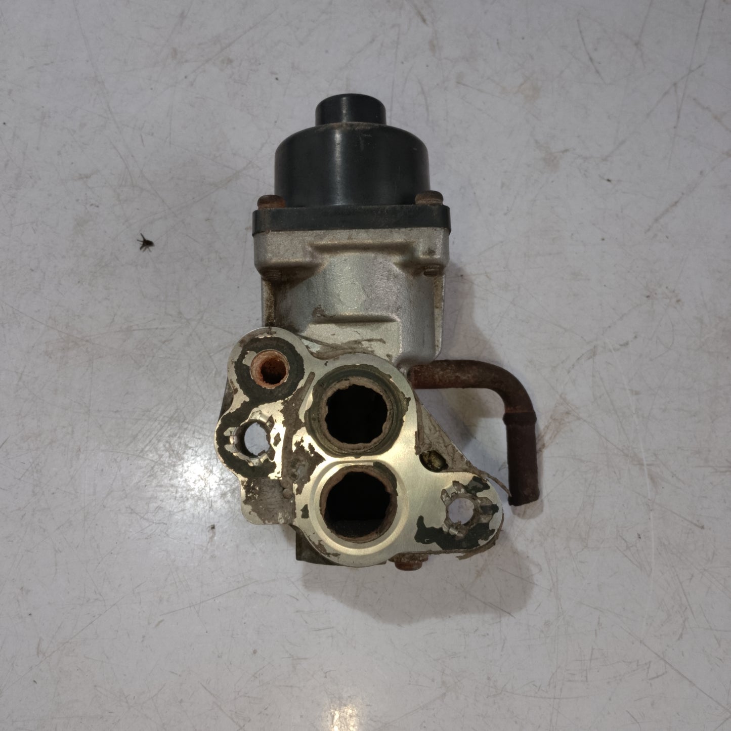 EGR Valve | Mazda Tribute