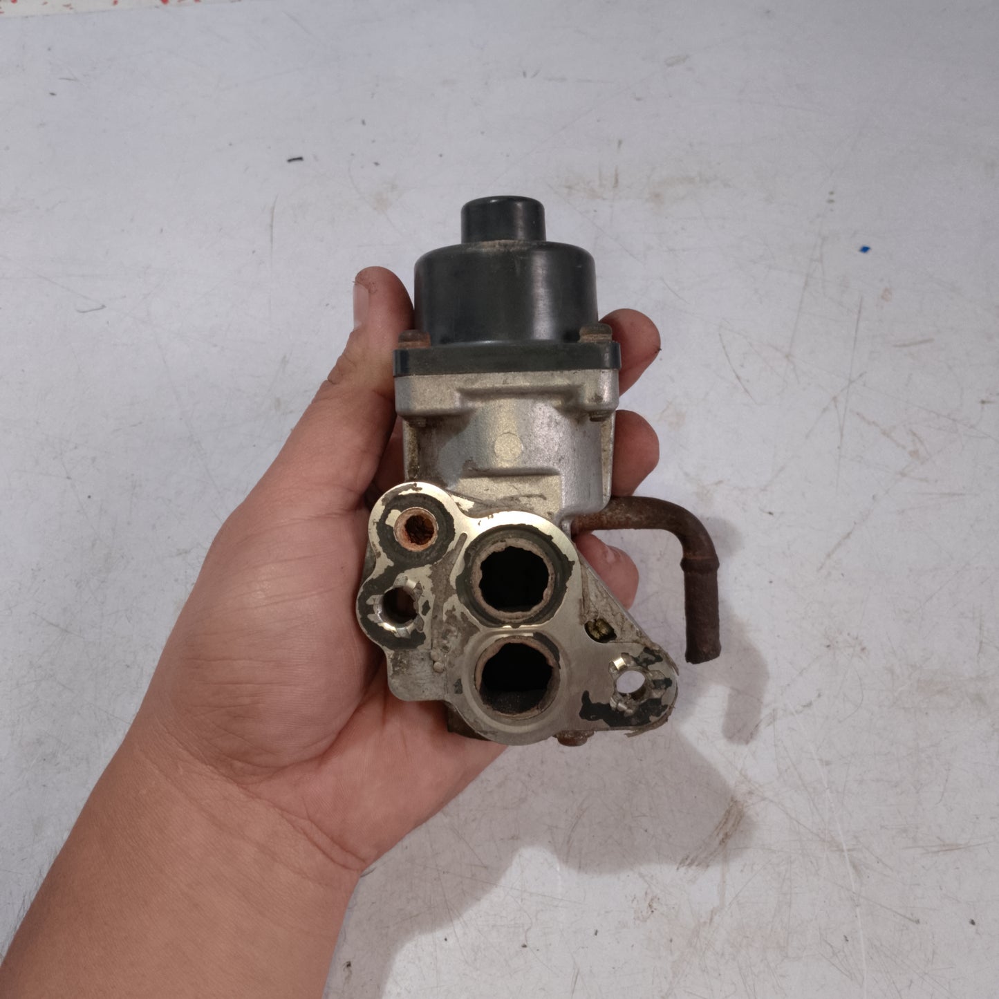 EGR Valve | Mazda Tribute