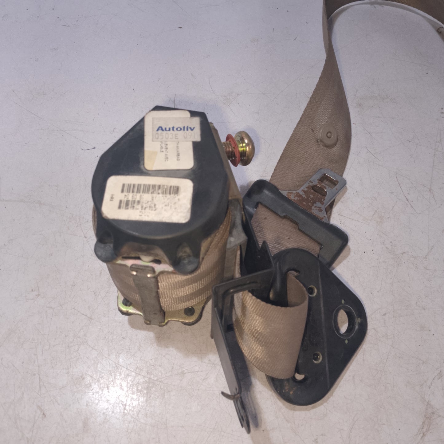 Seat Belt | Front Passenger Side | Escape 2.3