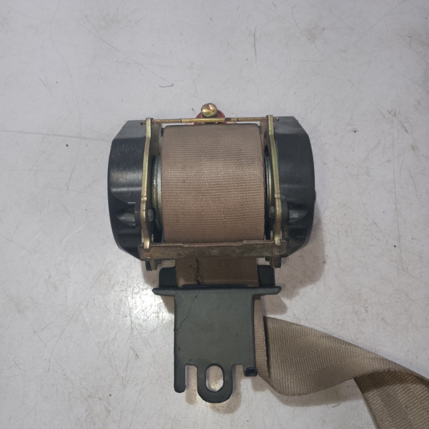 Seat Belt | Front Passenger Side | Escape 2.3