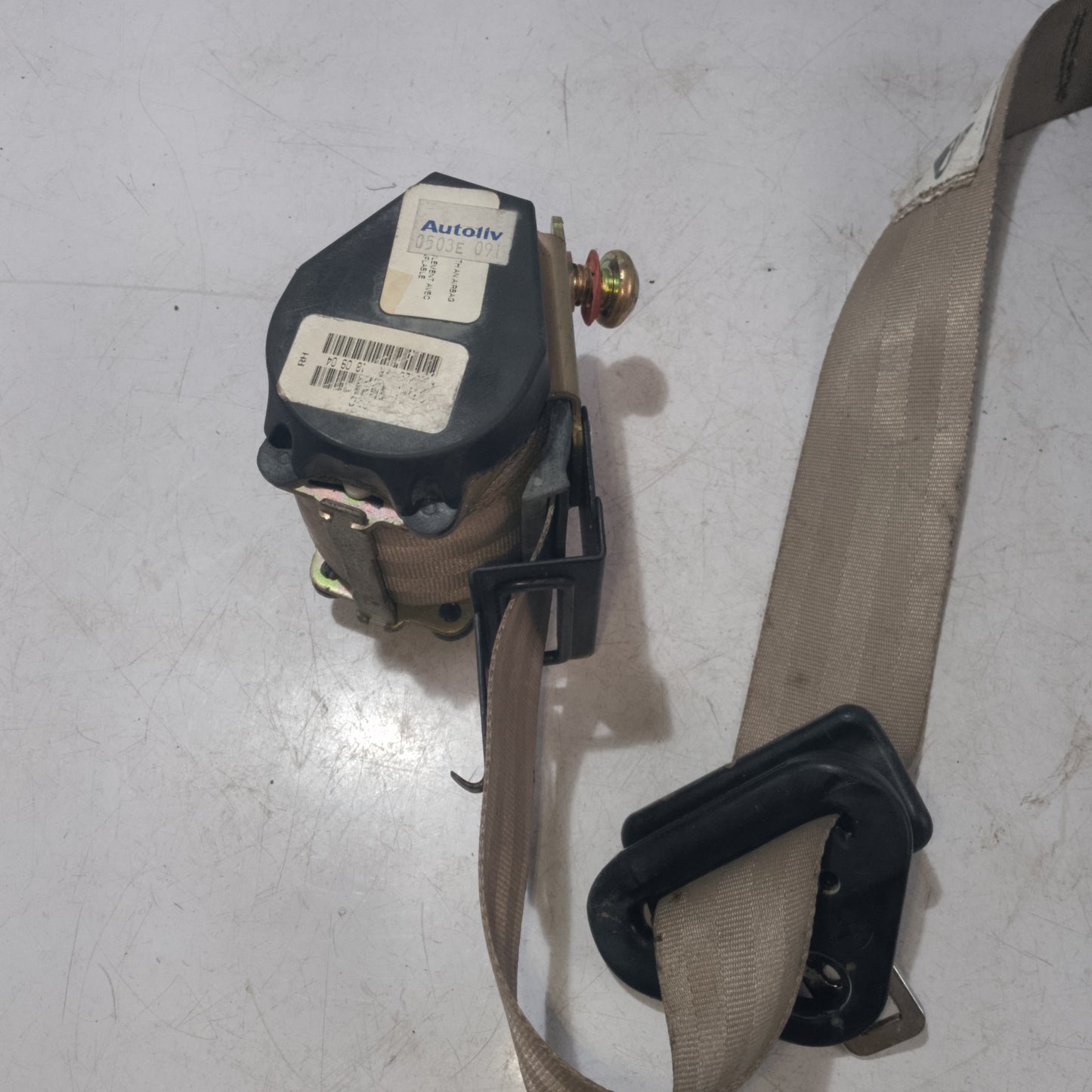 Seat Belt | Front Passenger Side | Escape 2.3