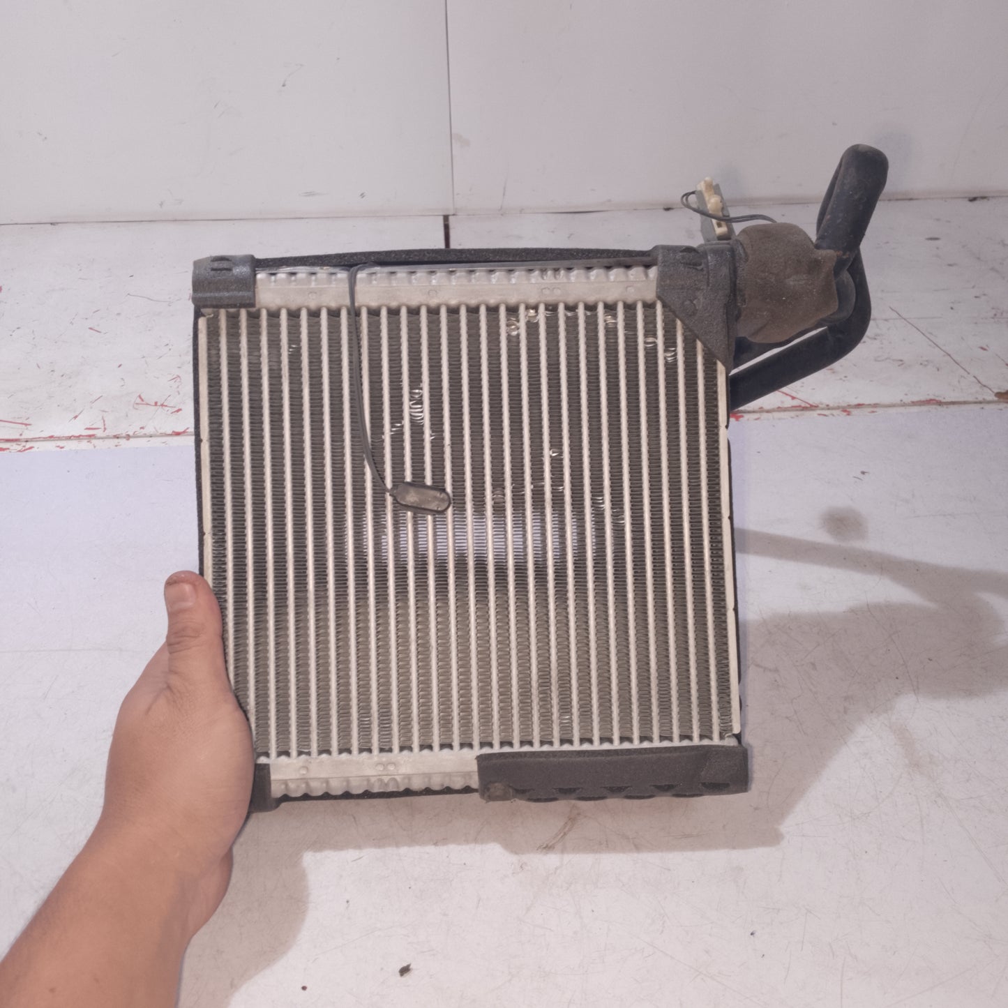 Evaporator | Ecosport