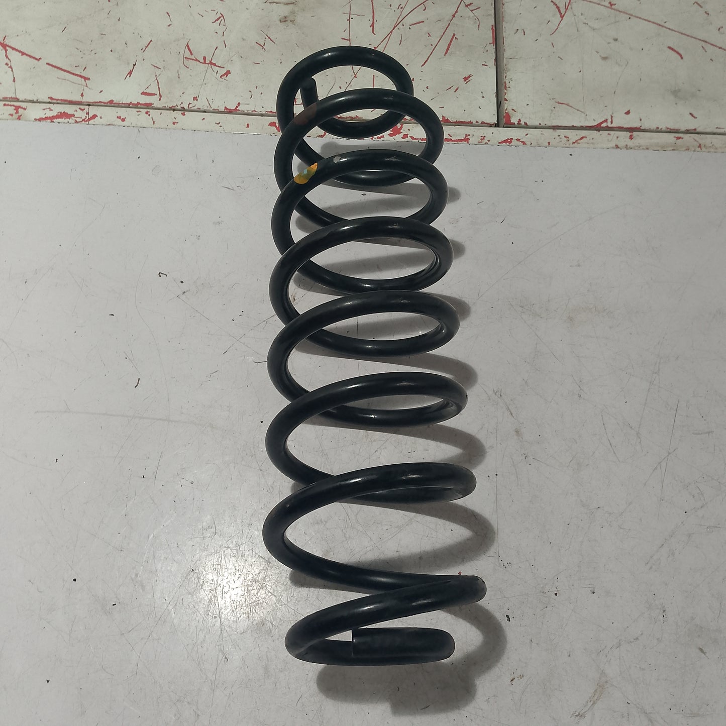 Coil Spring Rear Driver Side | Ecosport