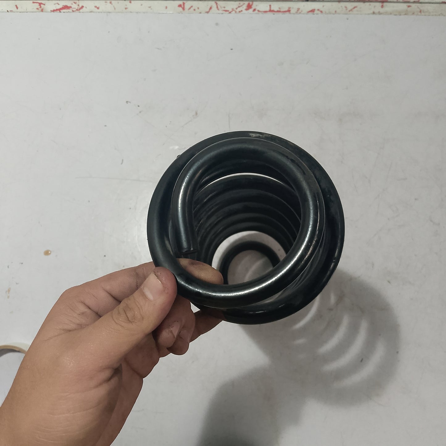 Coil Spring | Rear Passenger Side | Ecosport