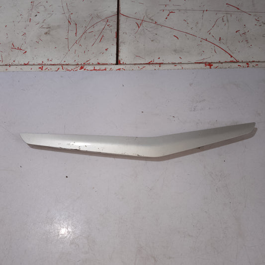 SIDE DOOR TRIM | Rear Passenger Side | Ecosport