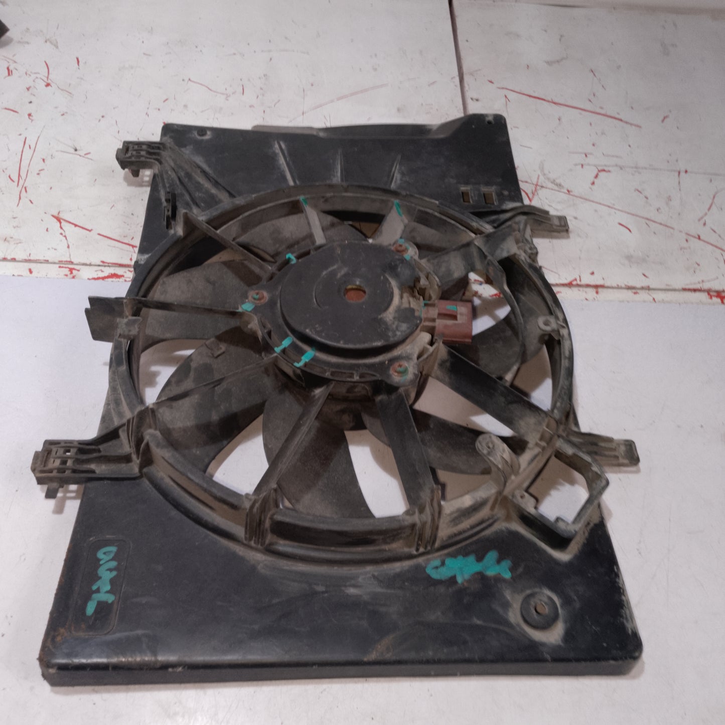 Radiator Fan | Focus