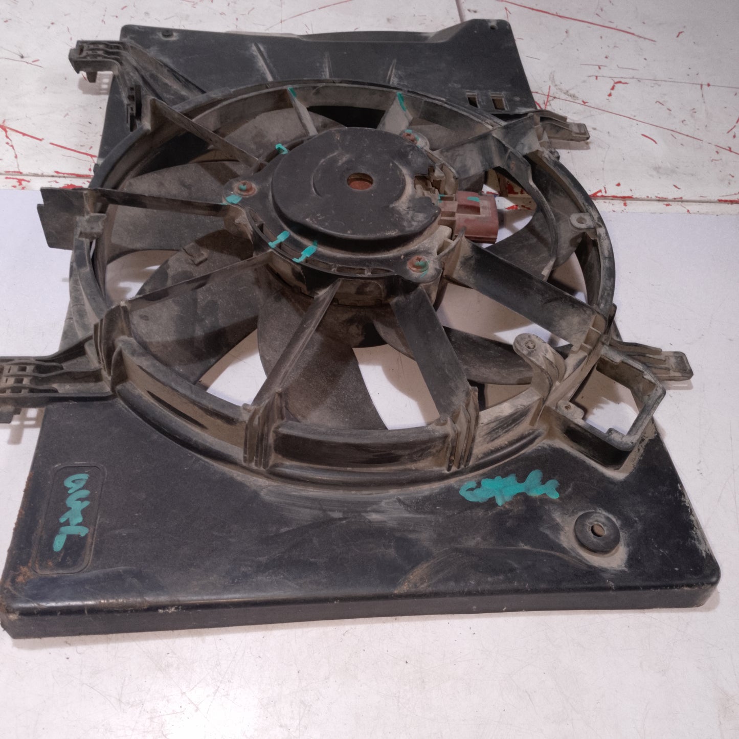 Radiator Fan | Focus