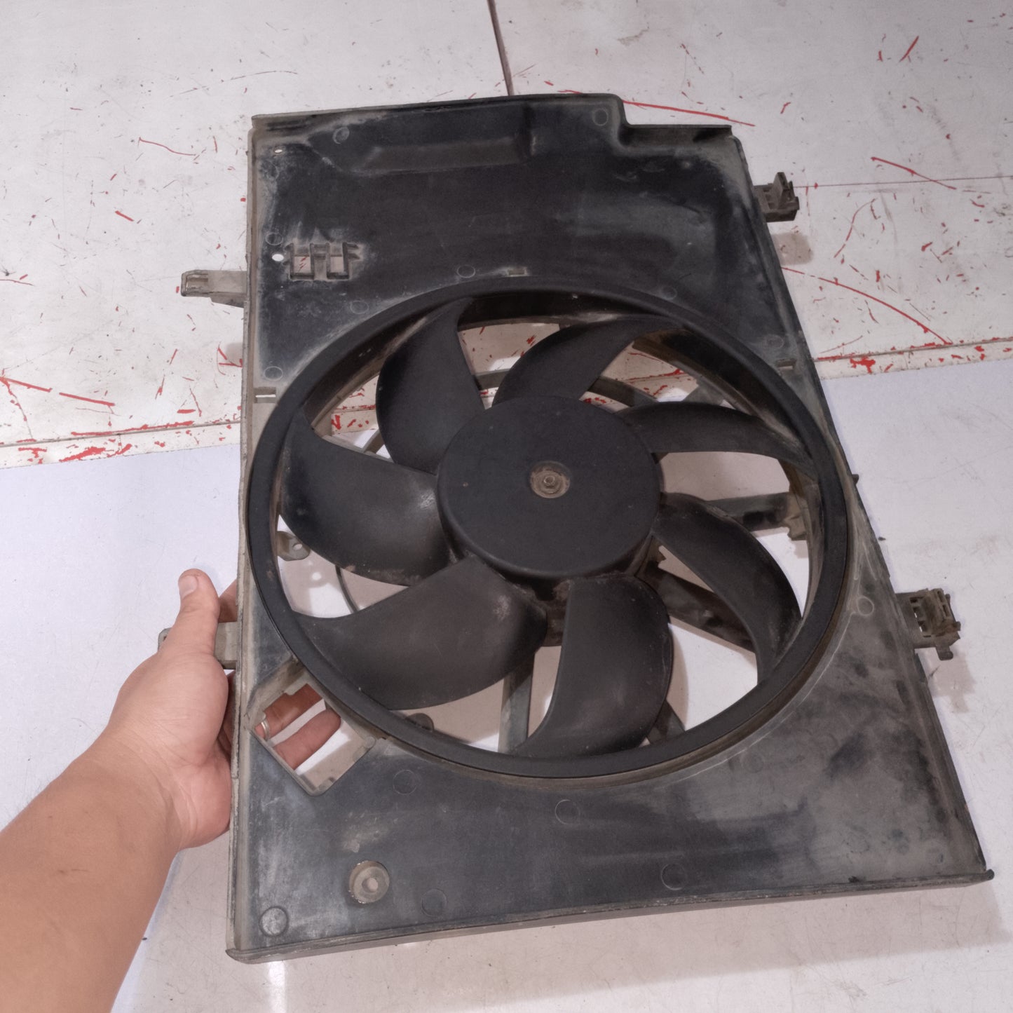 Radiator Fan | Focus